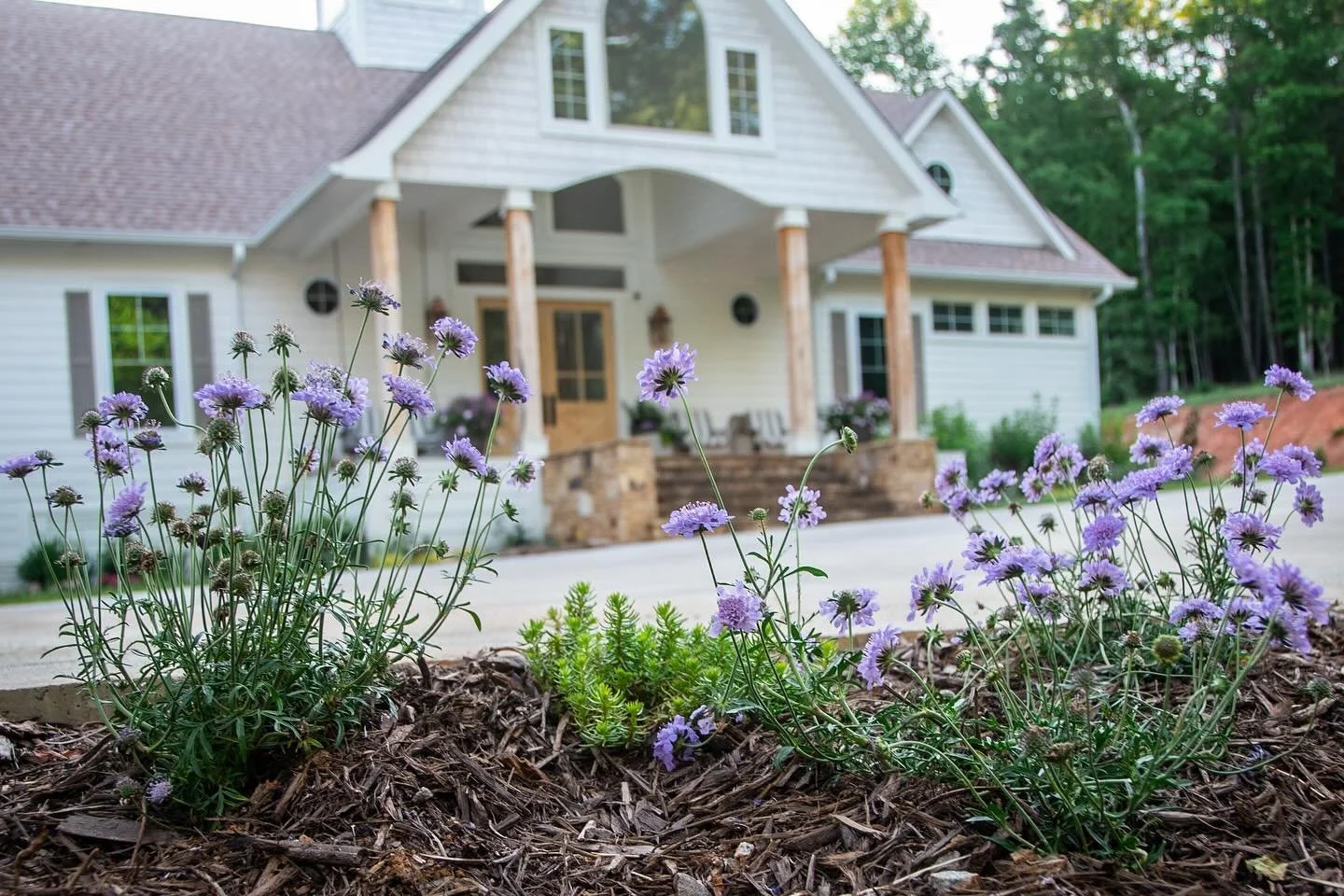 Countryside Cottage Project. Our goal was to bring color to the mostly all-white home by using a variety of shrubs and flowers. Last pic shows the &ldquo;before.&rdquo; #landscape #landscapedesigner #landscapedesign #landscapephotomag #landscapestyle
