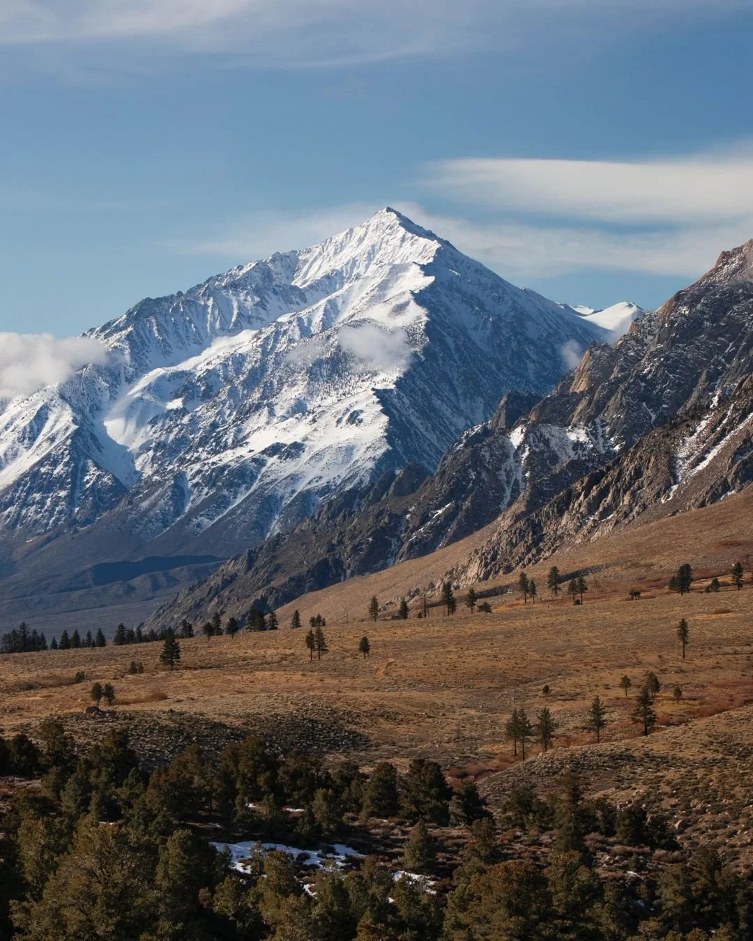 I was determined to photograph the ridge of Mt Tom for the longest time, but couldn't quite get a photo I liked. The conditions were perfect this day and this shot was worth the wait.

#mttom #bishop #inyocounty #easternsierras