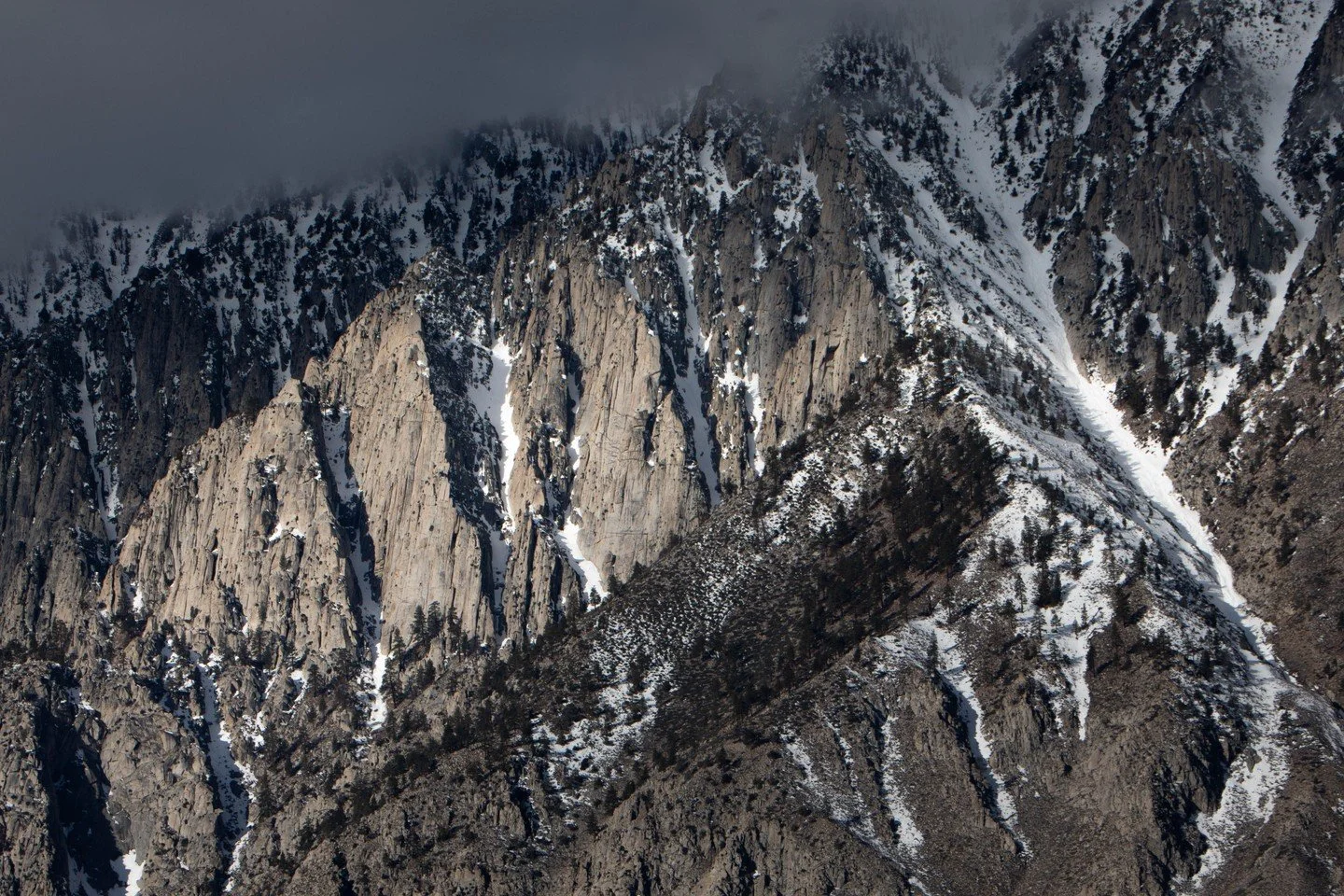The Sierras are vast and beautiful, but it's also nice to look at the details.

#easternsierras #sierras #sierranevadamountains #inyocounty #monocounty #bishop