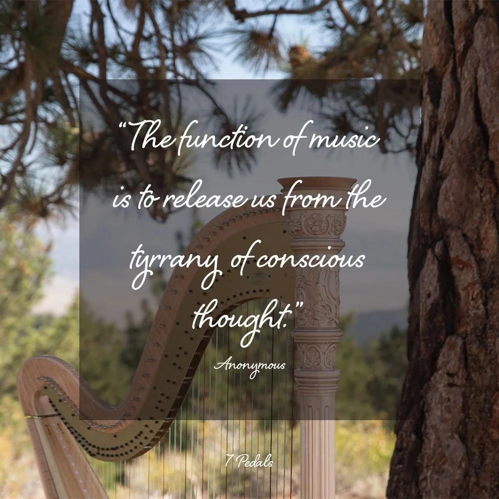When I am playing my harp, all of my negative thoughs - that negative inner voice that dictates so much - disappears. The &quot;tyranny of conscious&quot; has kept up in places that were not safe. with people who were not safe. and in situations wher