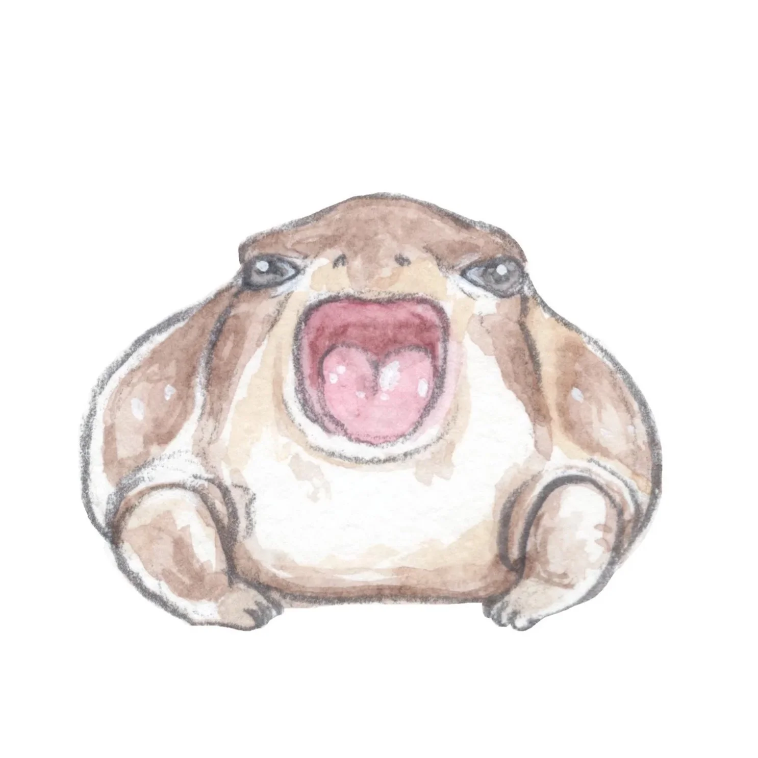chonkyfrog+yawning+PRINT.jpg