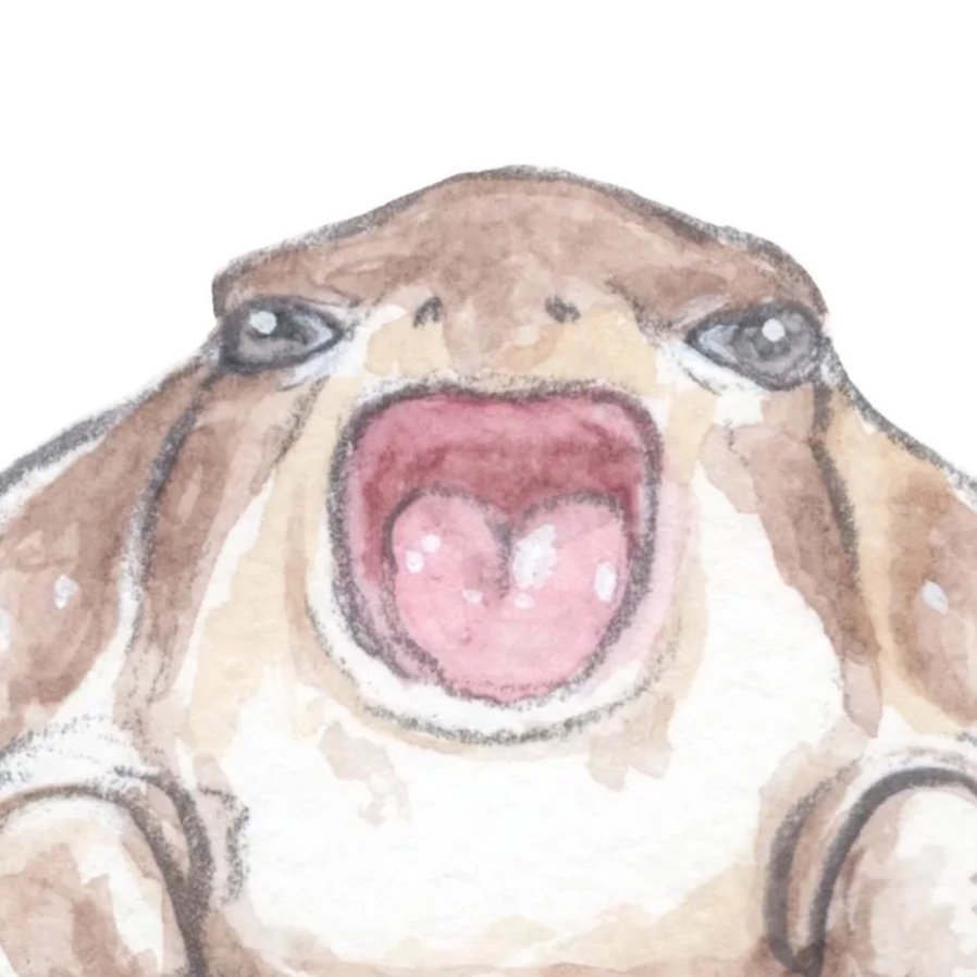chonkyfrog%2Byawning%2BPRINT.jpg