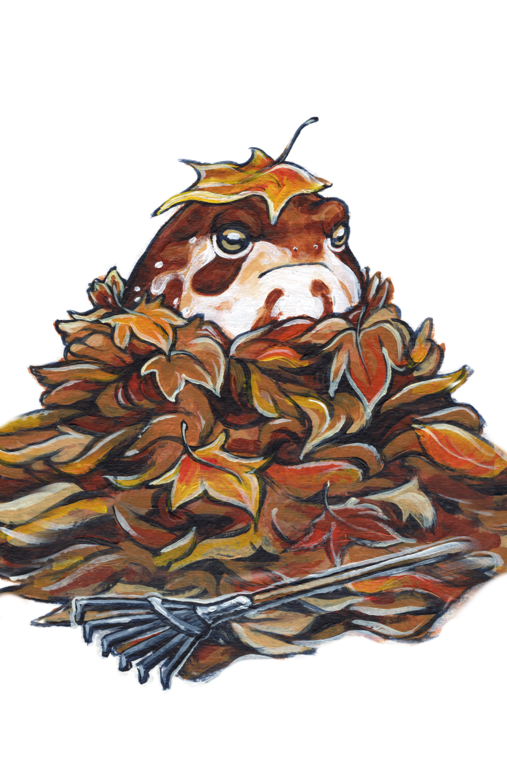 NOV frog mail PRINT.png