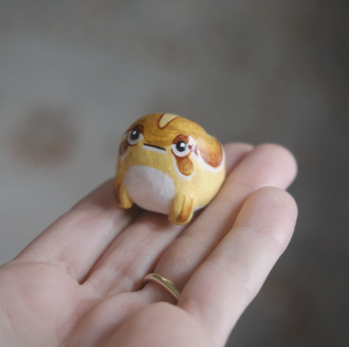 Round Toad