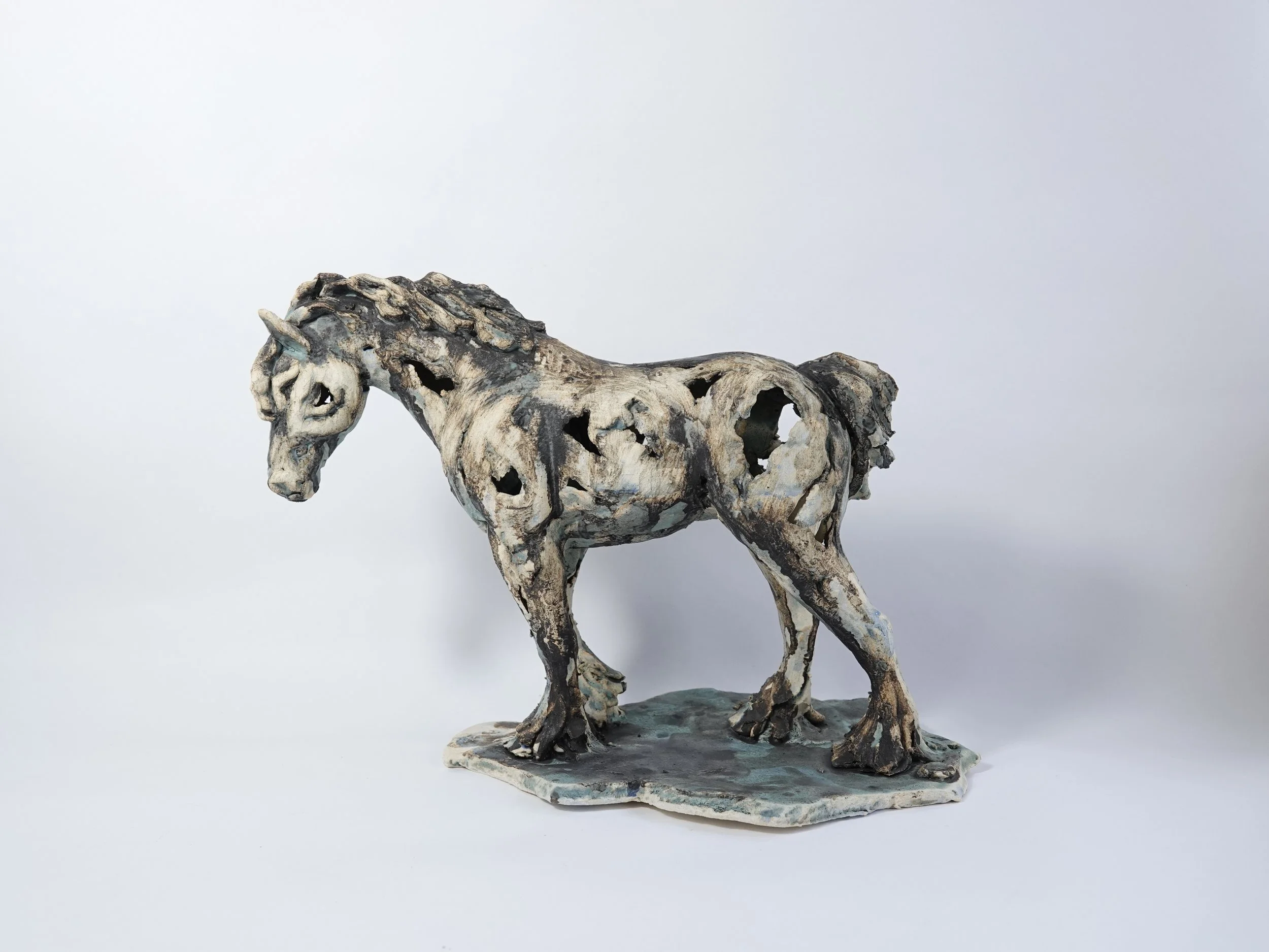 D. Frith medium horse April 2026.JPG