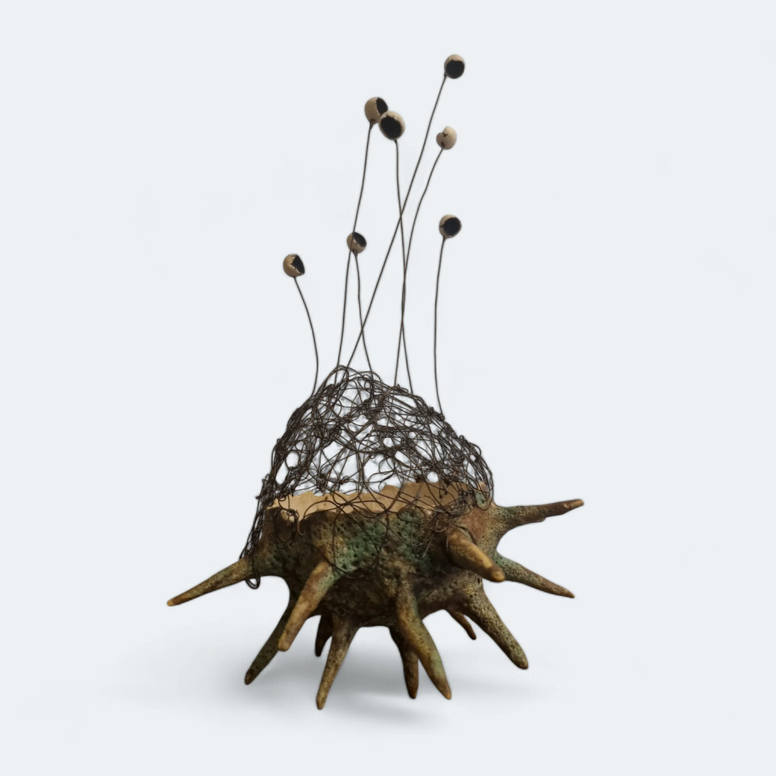 IngaWinson5 Copper Conker Pod.jpg