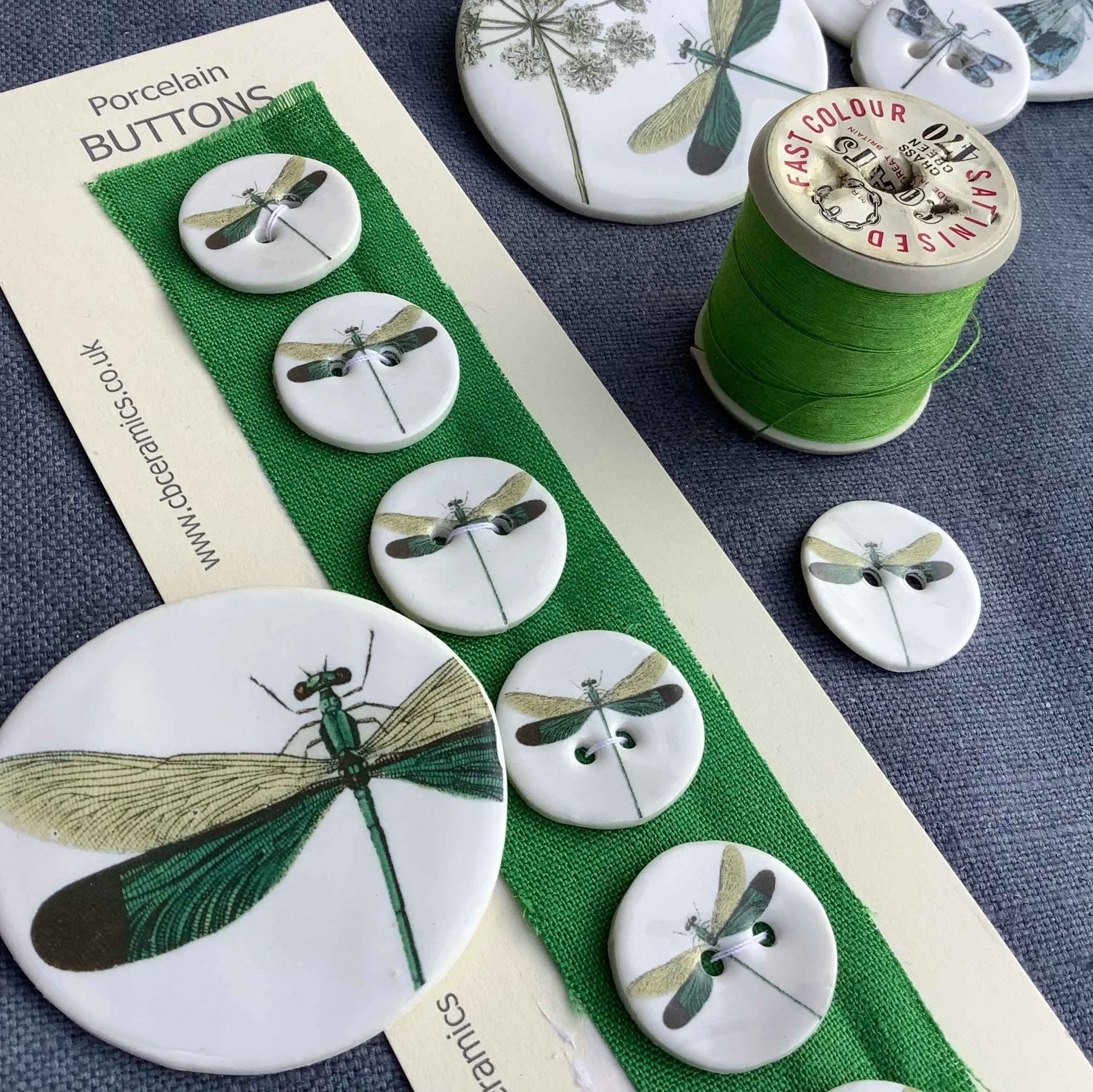 C Barnes dragonfly buttons.jpeg