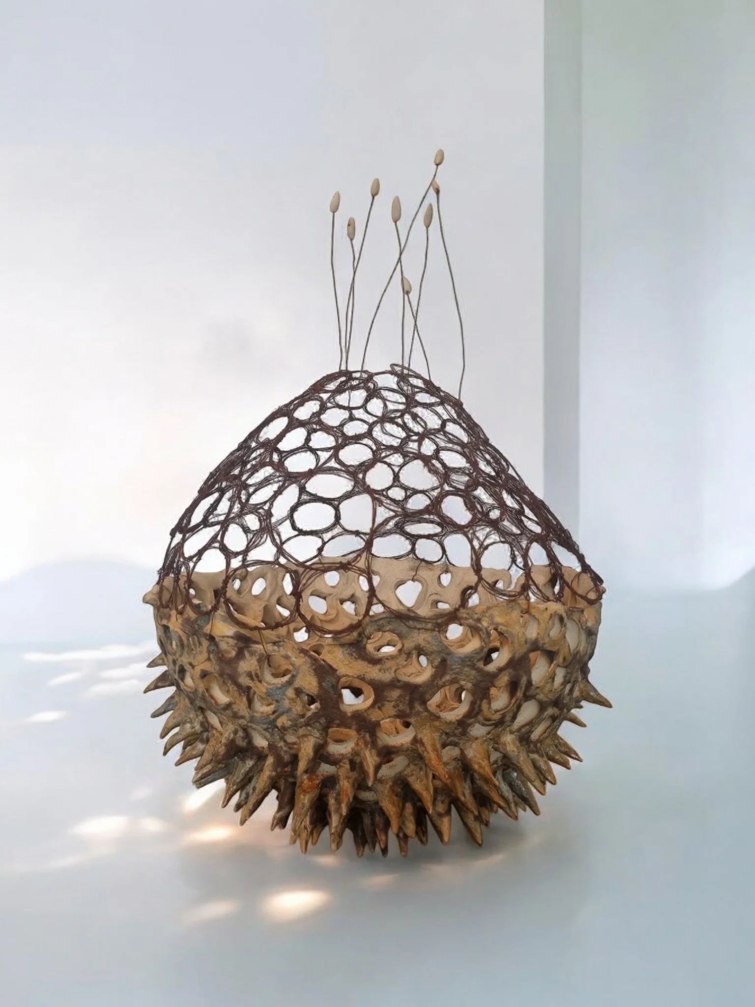 IngaWinson1  Large Spiky Pod.jpg