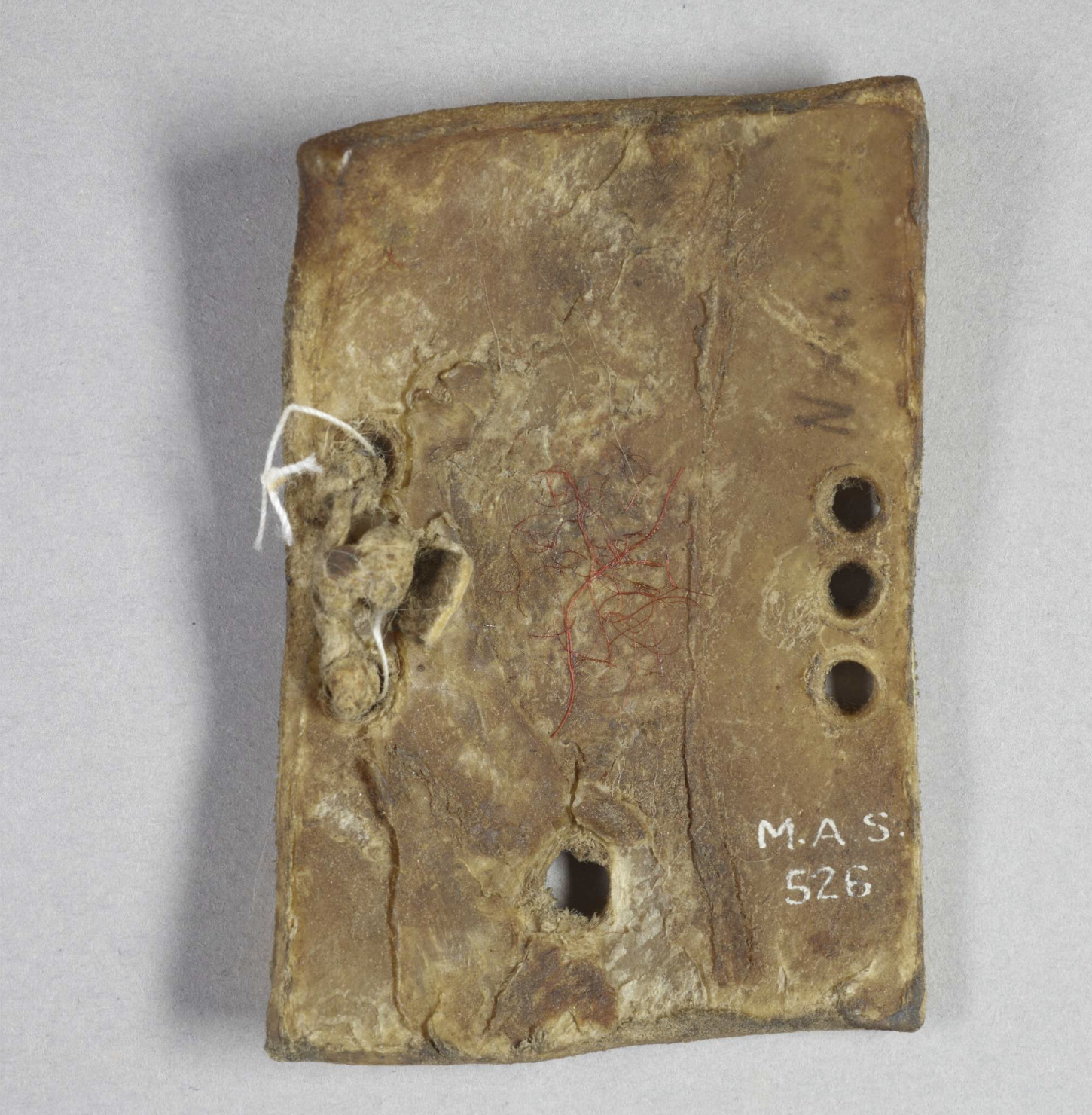 Screenshot 2026-02-19 at 16.36.24.png