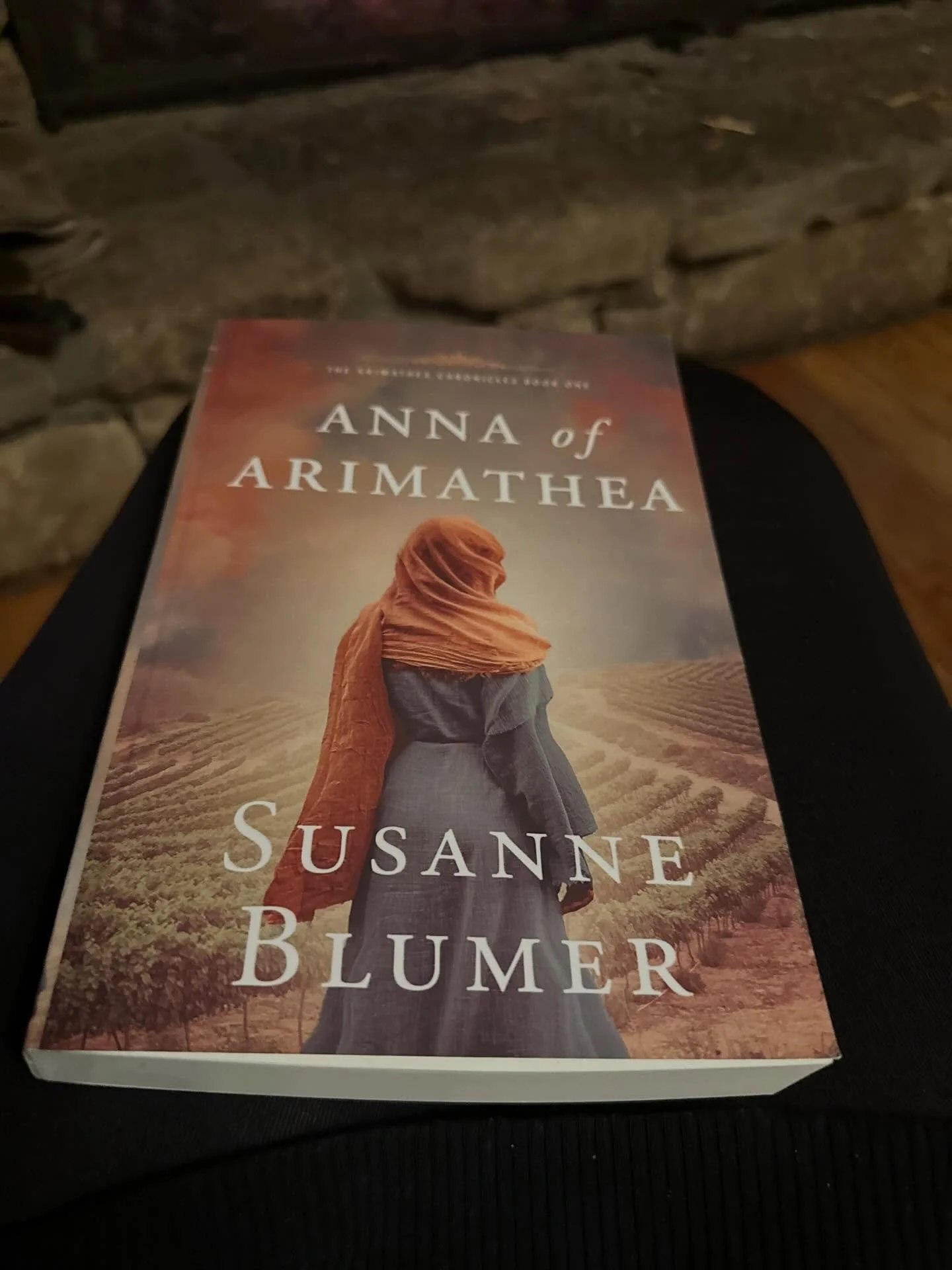 Today I held my very first novel in my hands. What a moment! Anna of Arimathea, welcome to the world!

#biblicalfiction #christianfiction #christianbookstagram #newbook #firstnovel #arimathea #christianfictionwriter #christianfictionreaders