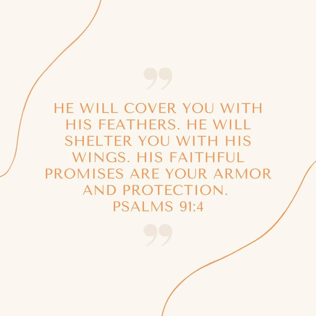 Psalms 91 has been on repeat in my mind and heart for months. Words full of promise and comfort that I've needed with everything going on in our world and country.

God does not abandon us. God offers shelter under His wings. So many times I've pictu