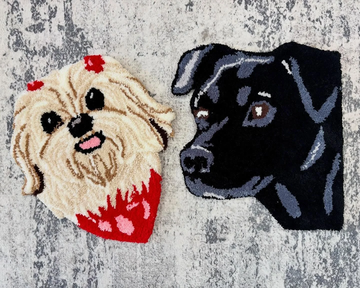 Let&rsquo;s make a pet portrait rug! 🐕 🐶 

#funcraft #craftersgonnacraft #textileart #wylietx