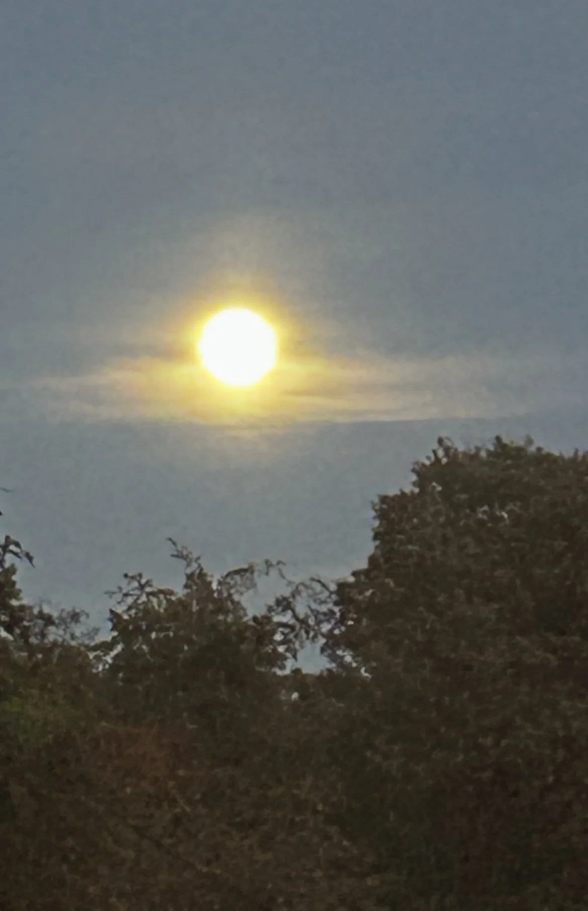 4 Ways to Uplift Your Mood During the January Blues