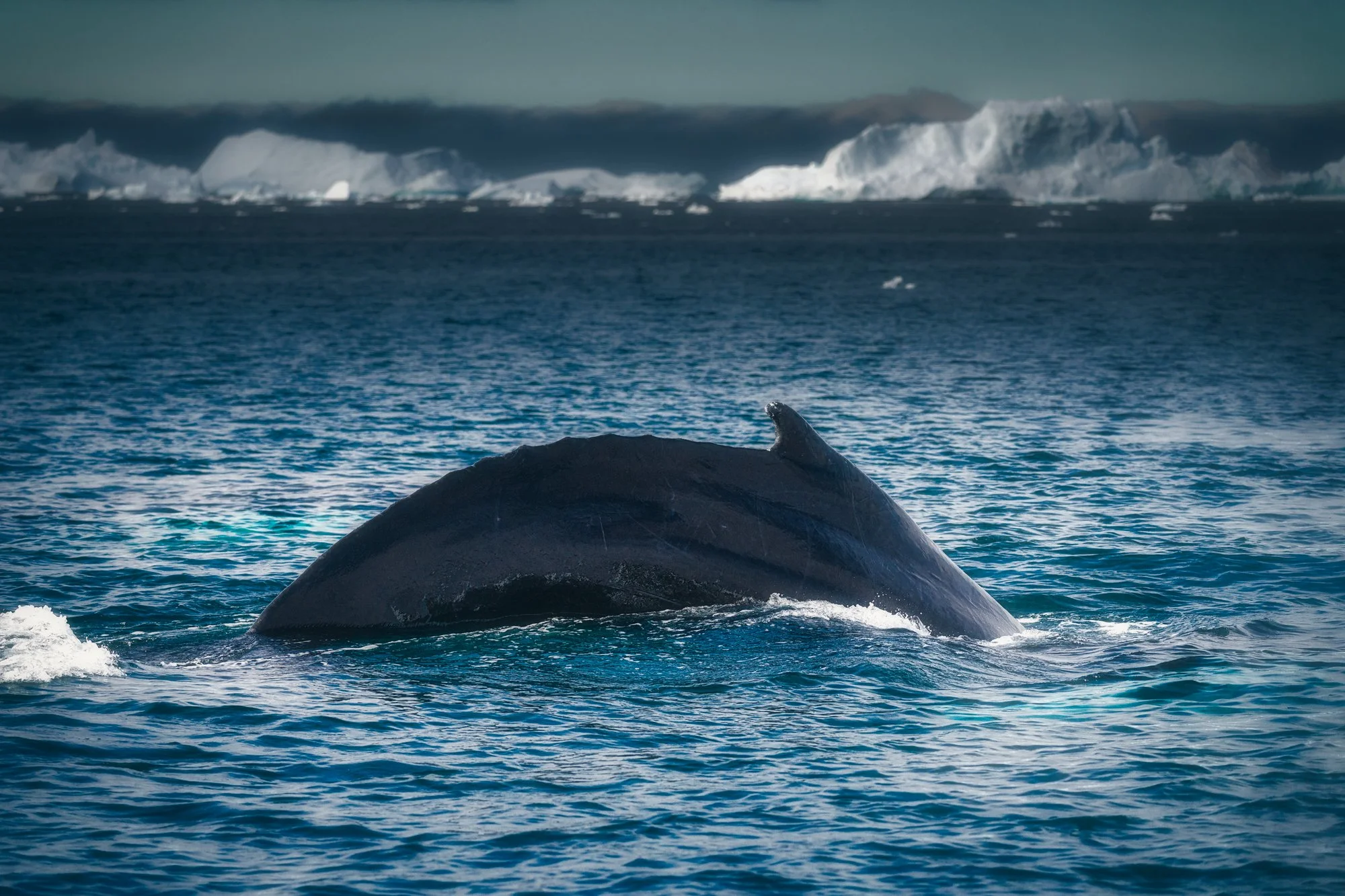 the queen of the sea_Original ratio_2000x1333_U_30.jpg