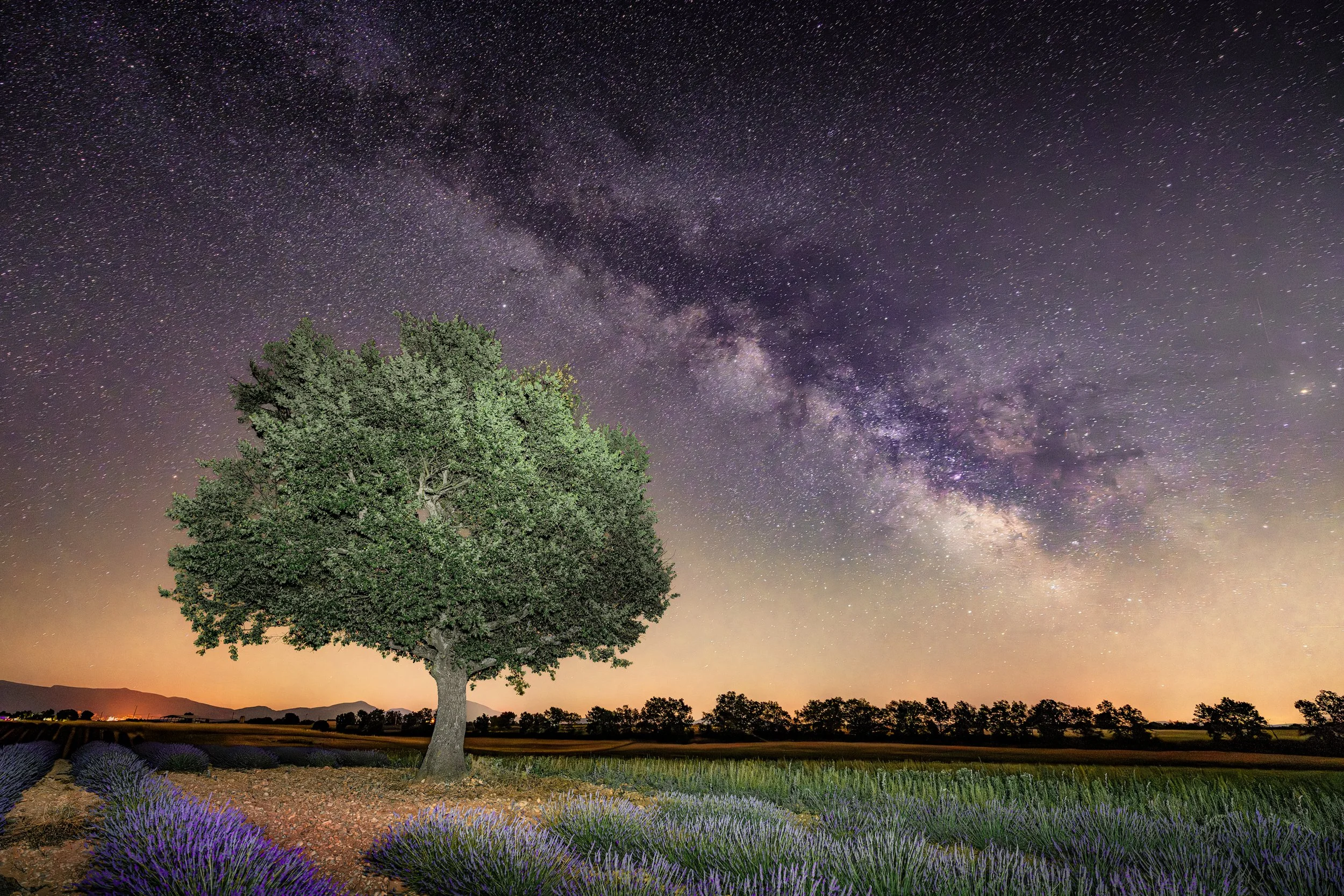Tree under the stars_Original ratio_3000x2000_U_30.JPG