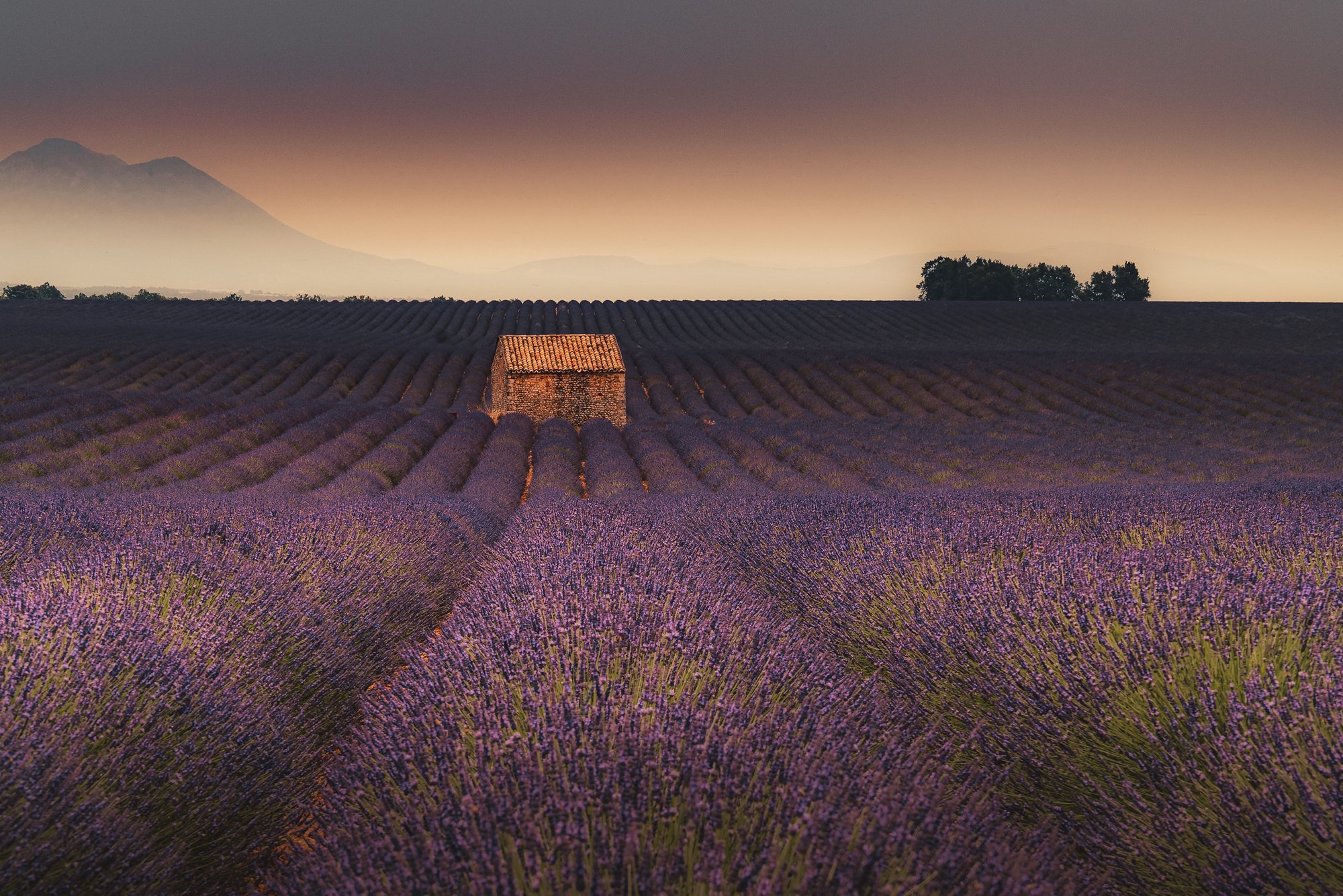 Provence