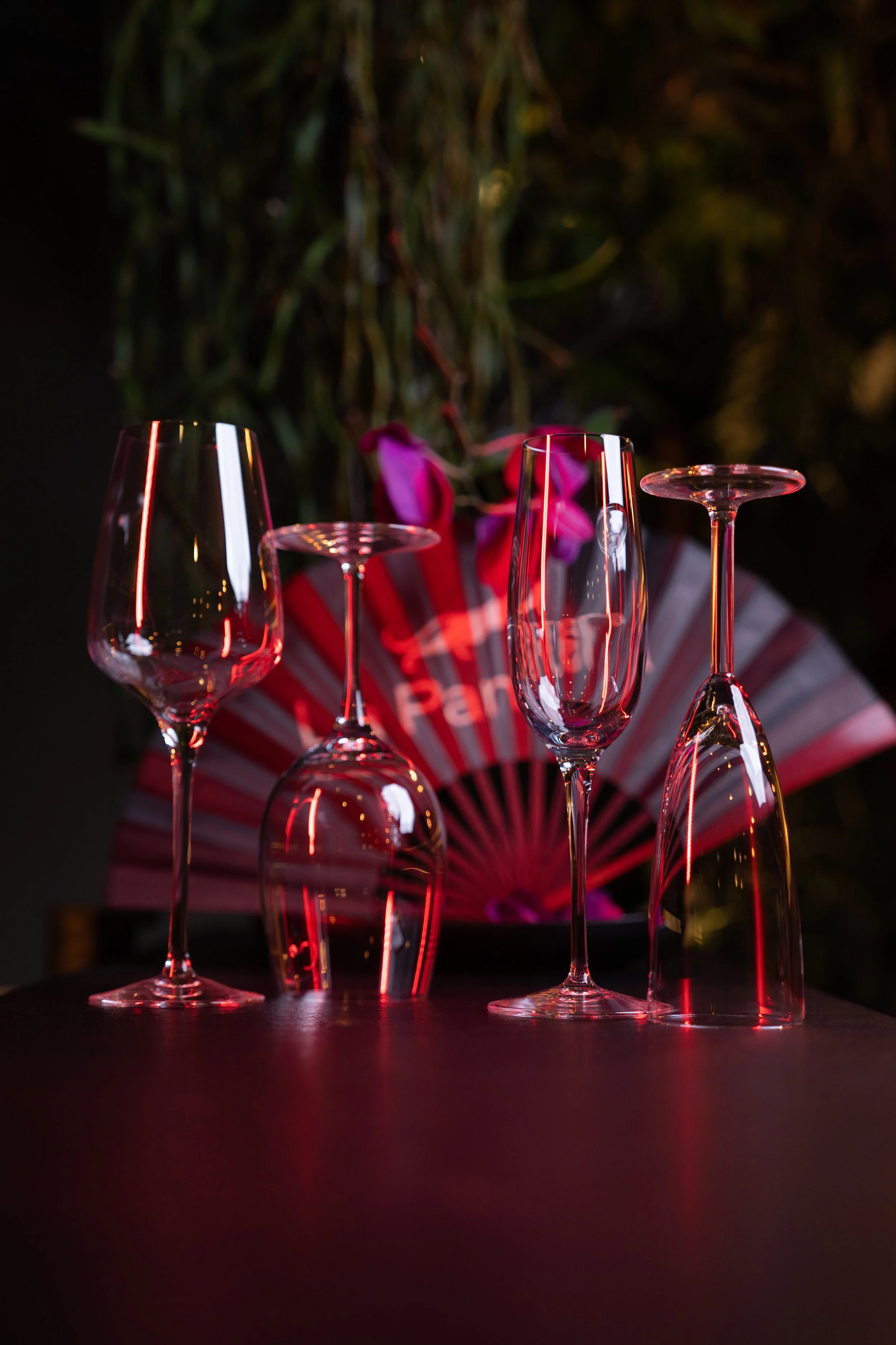 LaPantera_Dec2025-(37 of 98).jpg