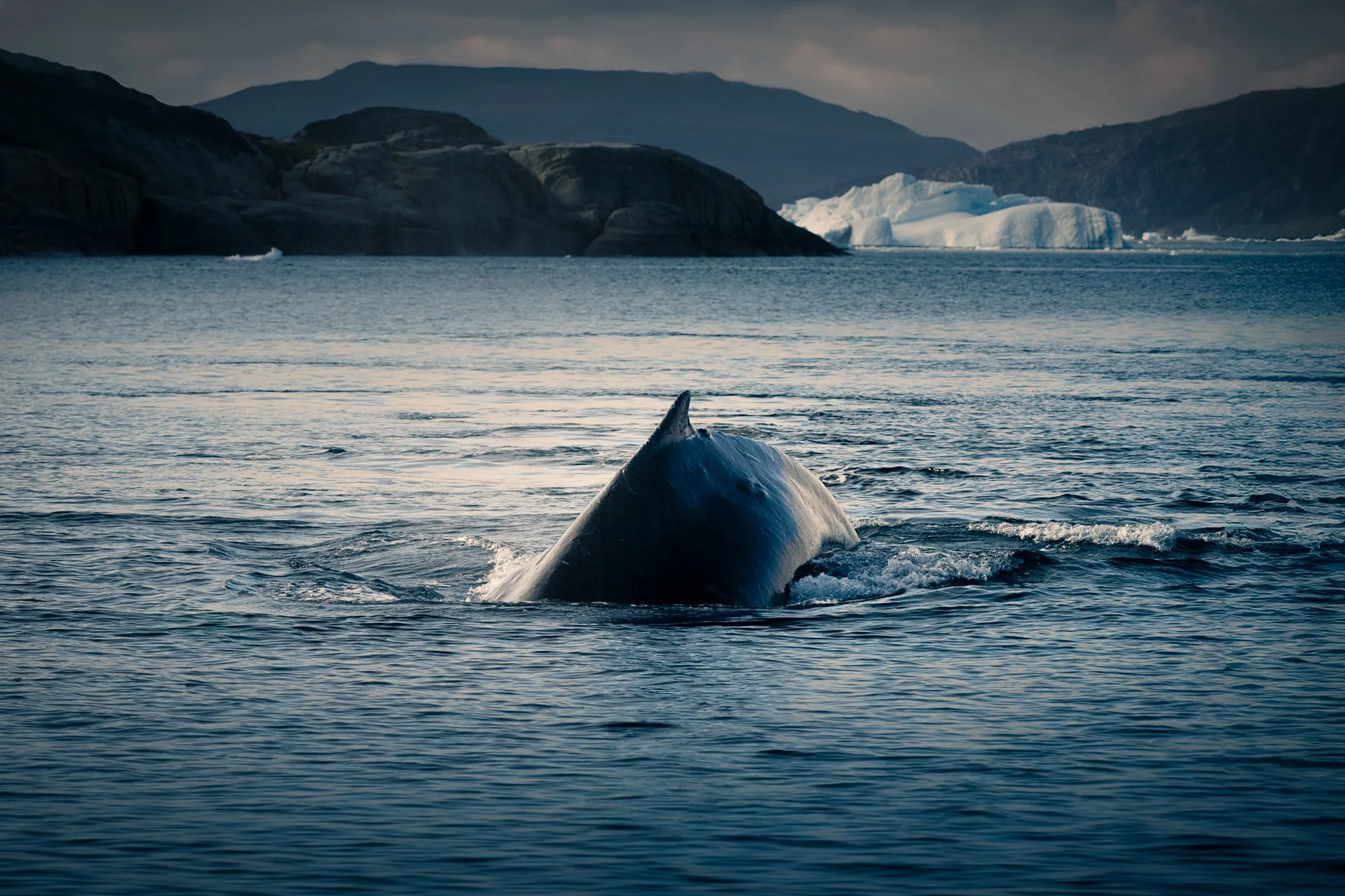 the finn_Original ratio_2000x1333_U_30.jpg