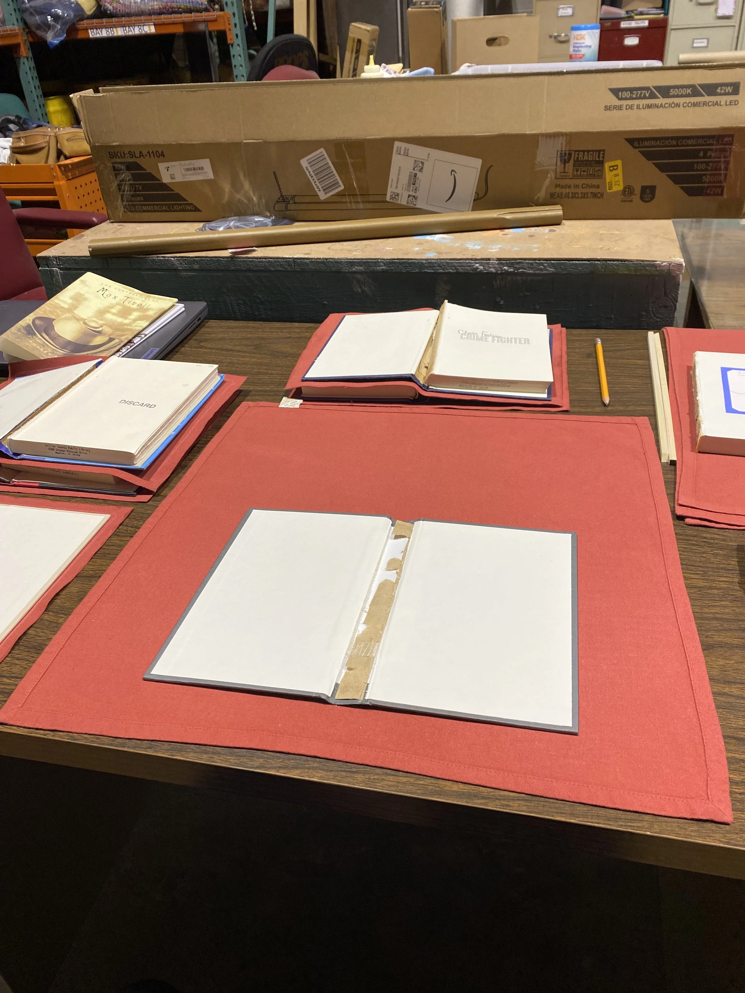 Creating the "throwable book" for Who's Afraid of Virginia Woolf?- For this project I used cloth placemats that I ironed and cut down to size after using Fraycheck to seal the edges