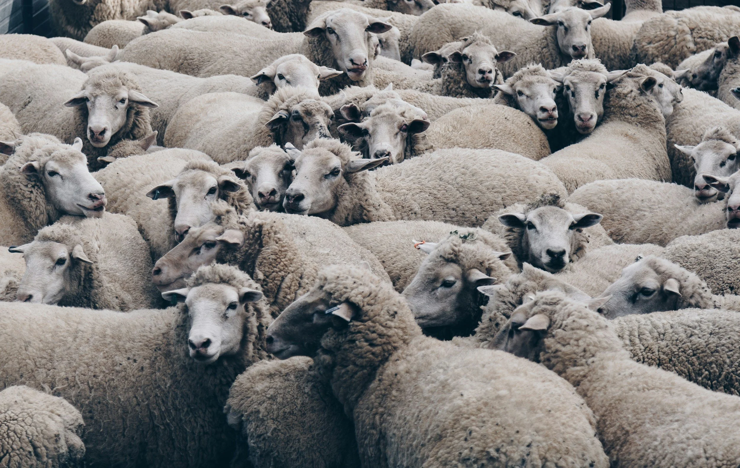 The Age of Collective Stupidity