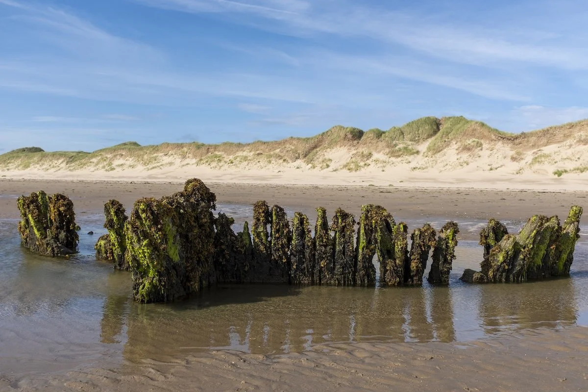 The timbers of the Athena on Malltreath beach on Anglesey