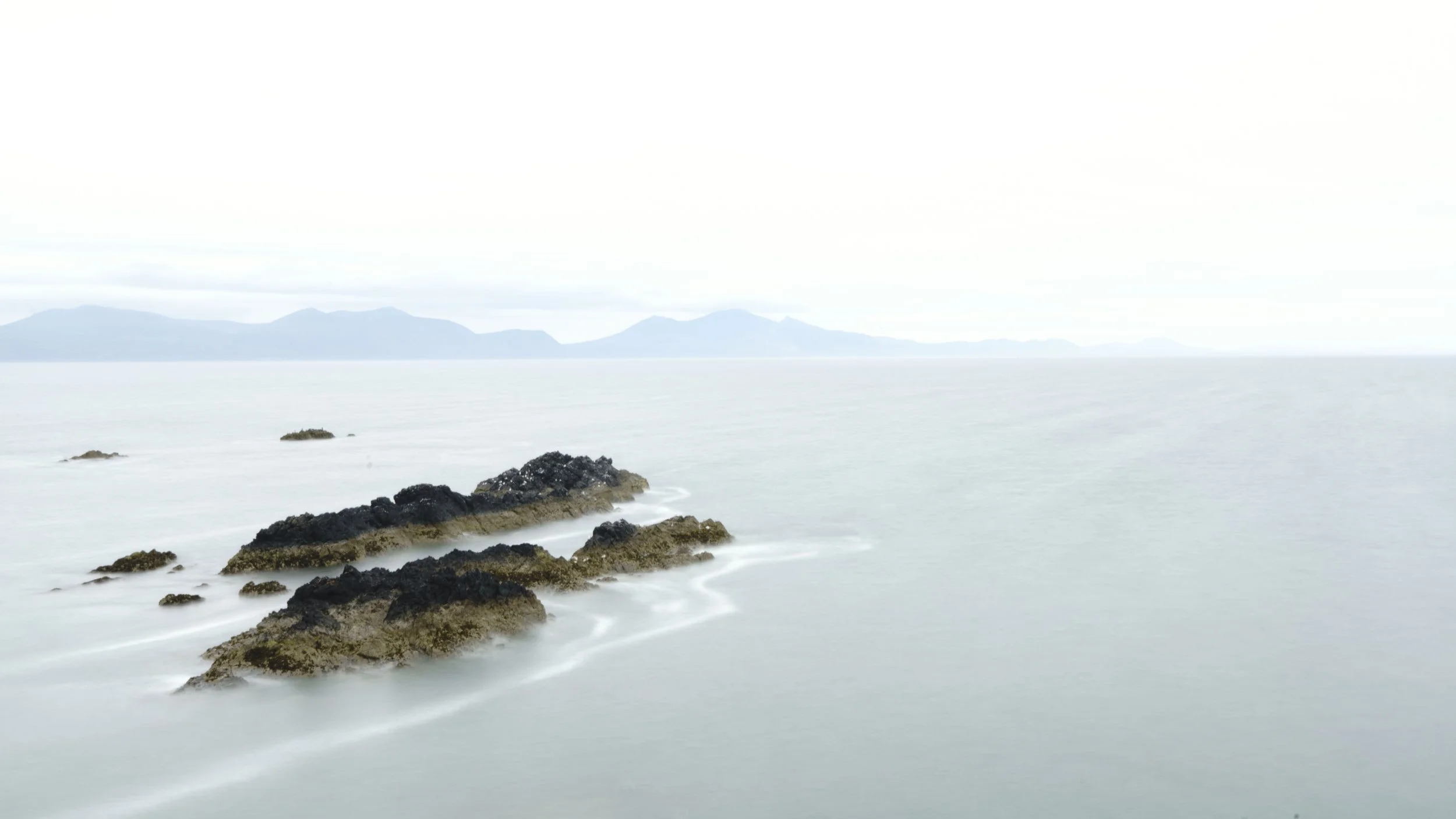 quiet-study-12.jpg