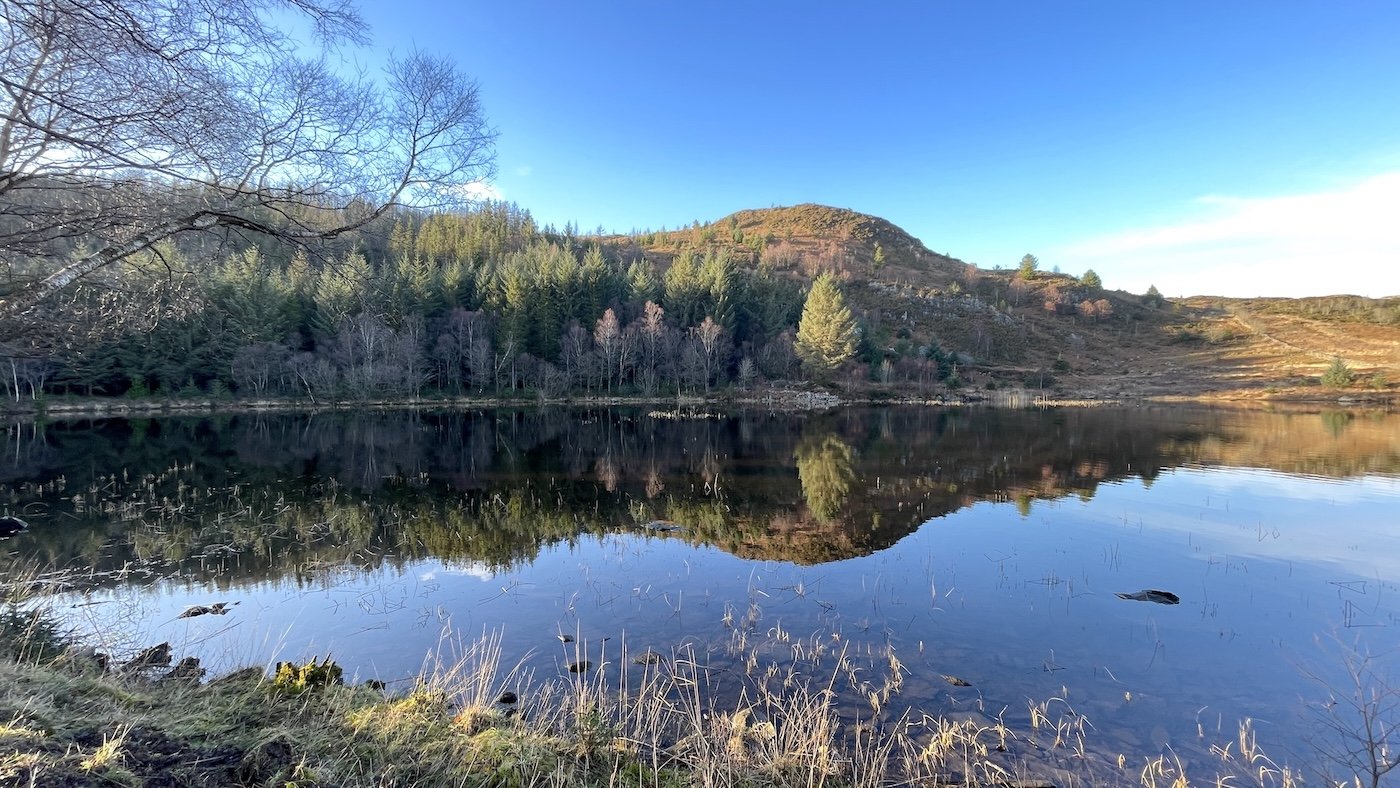 The Real Gold in Life Is Health