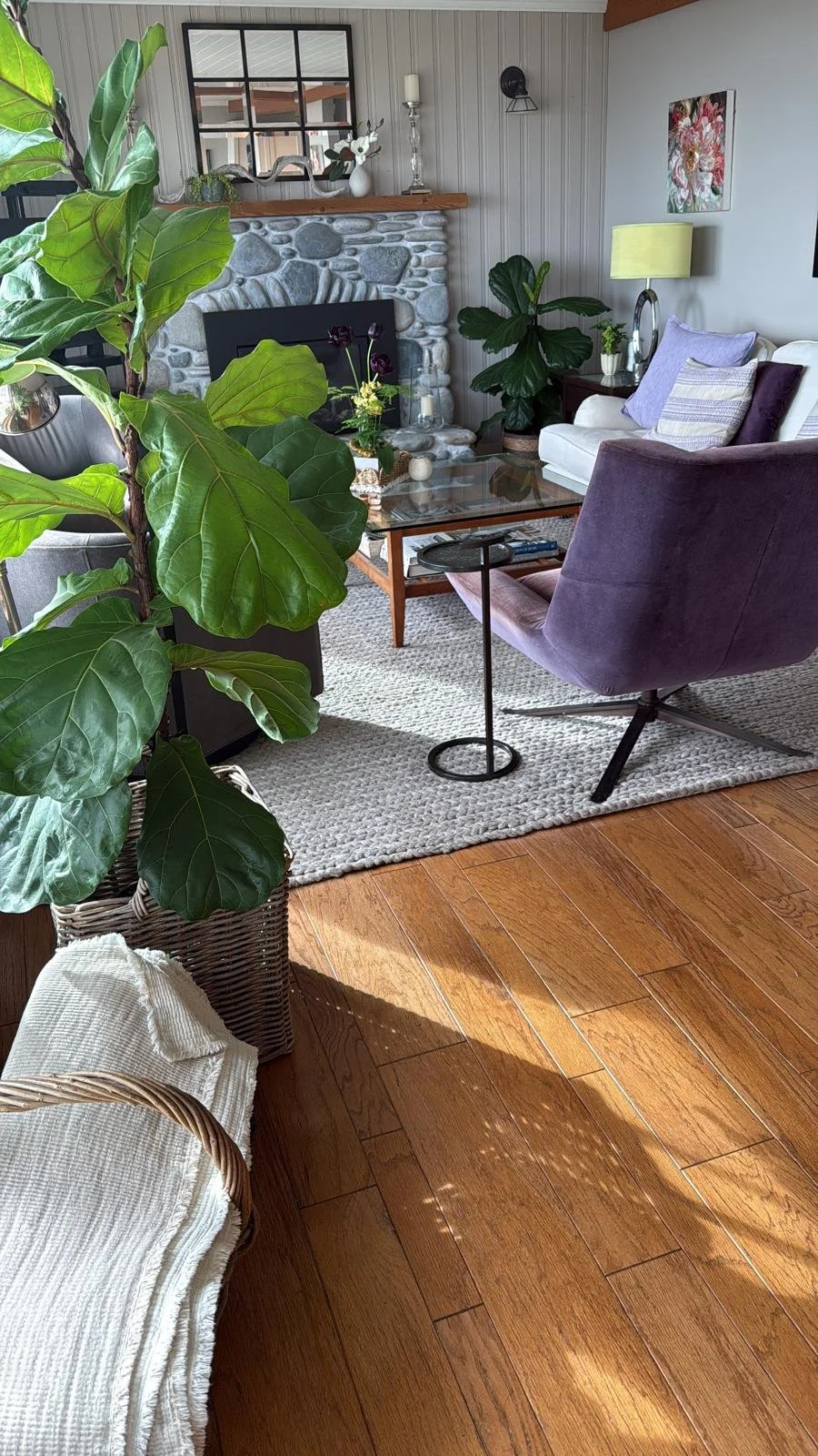 Living space.jpeg