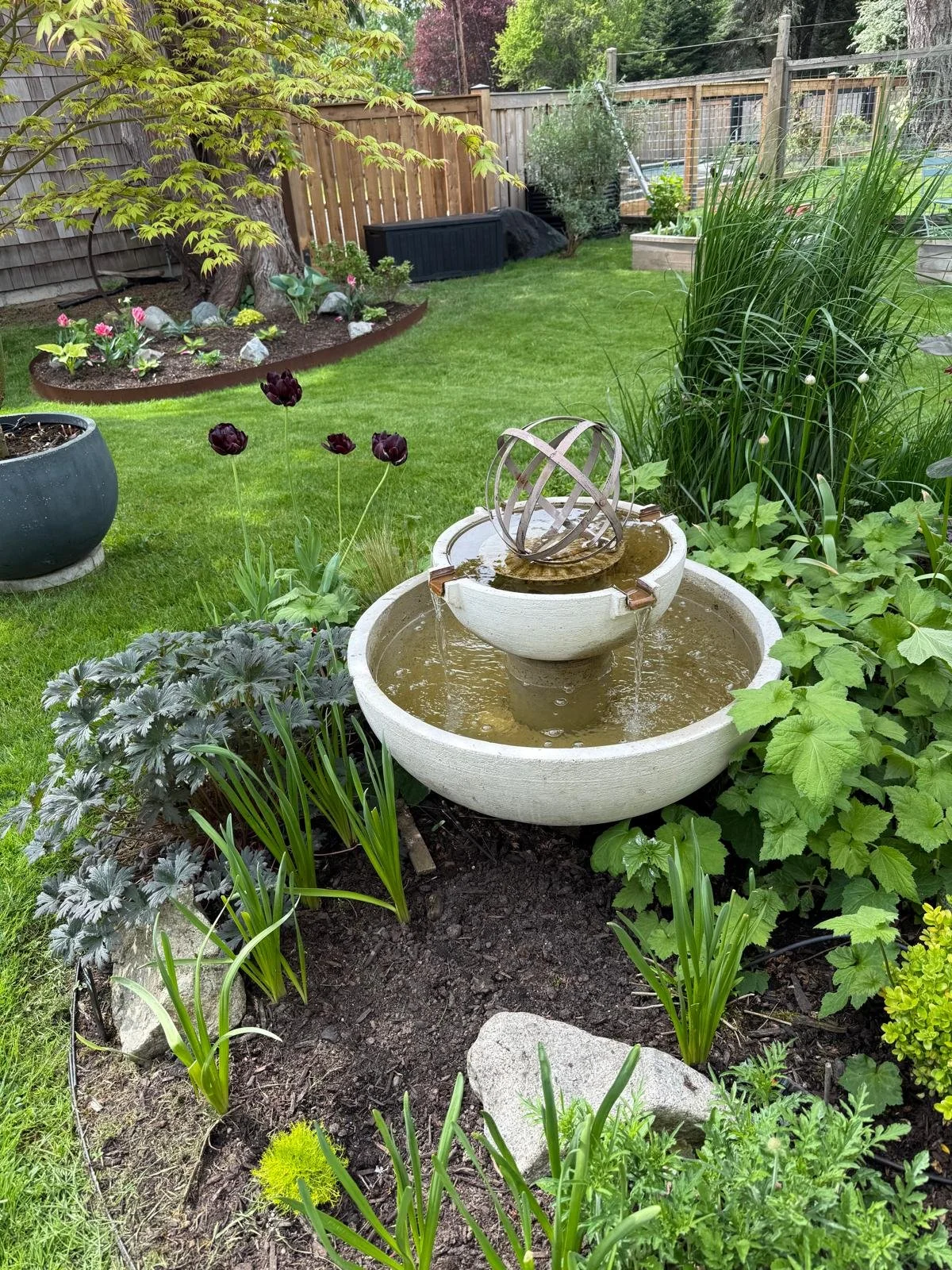 Garden space.jpeg