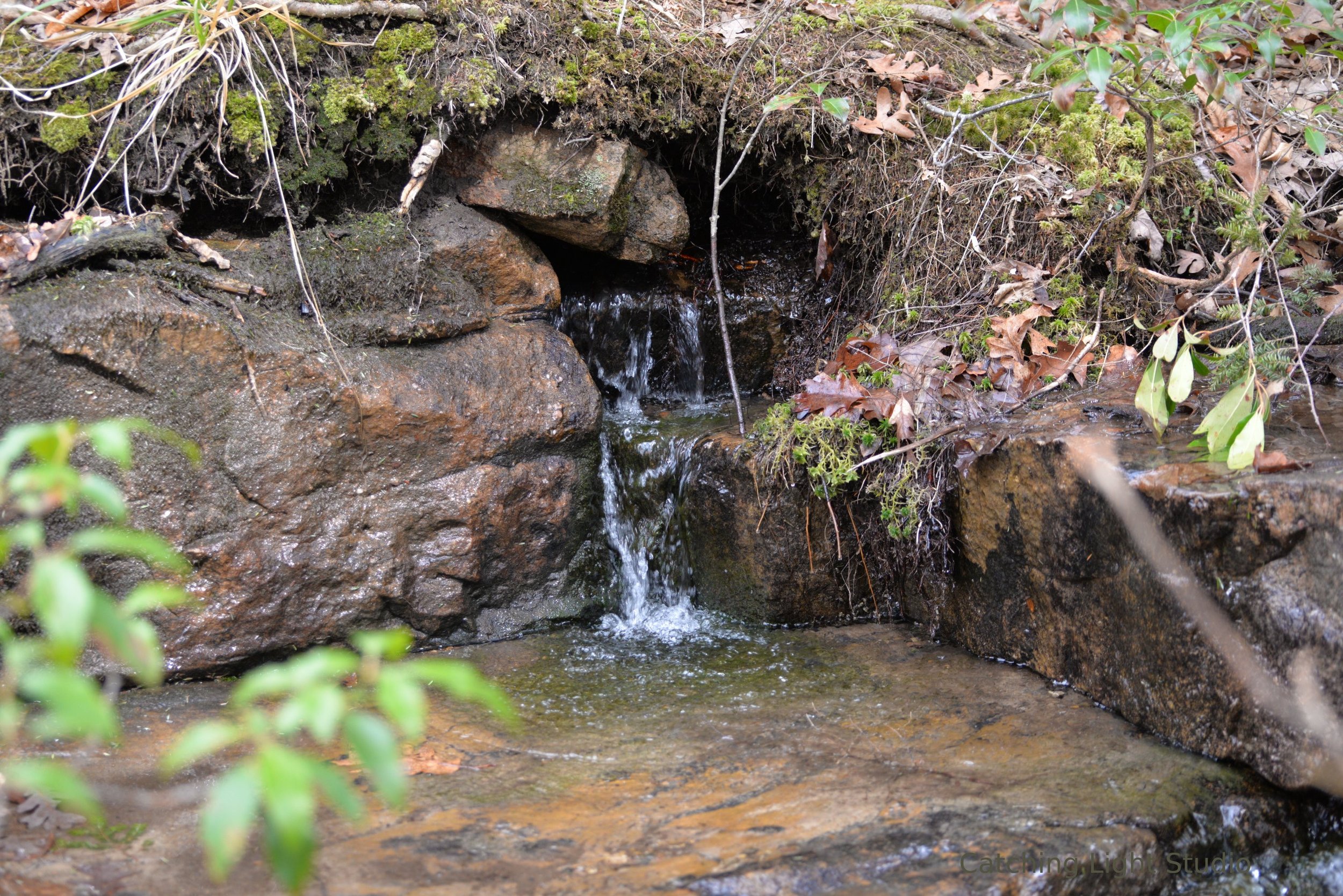 small-woodland-waterfall-trickling-over-mossy-rocks