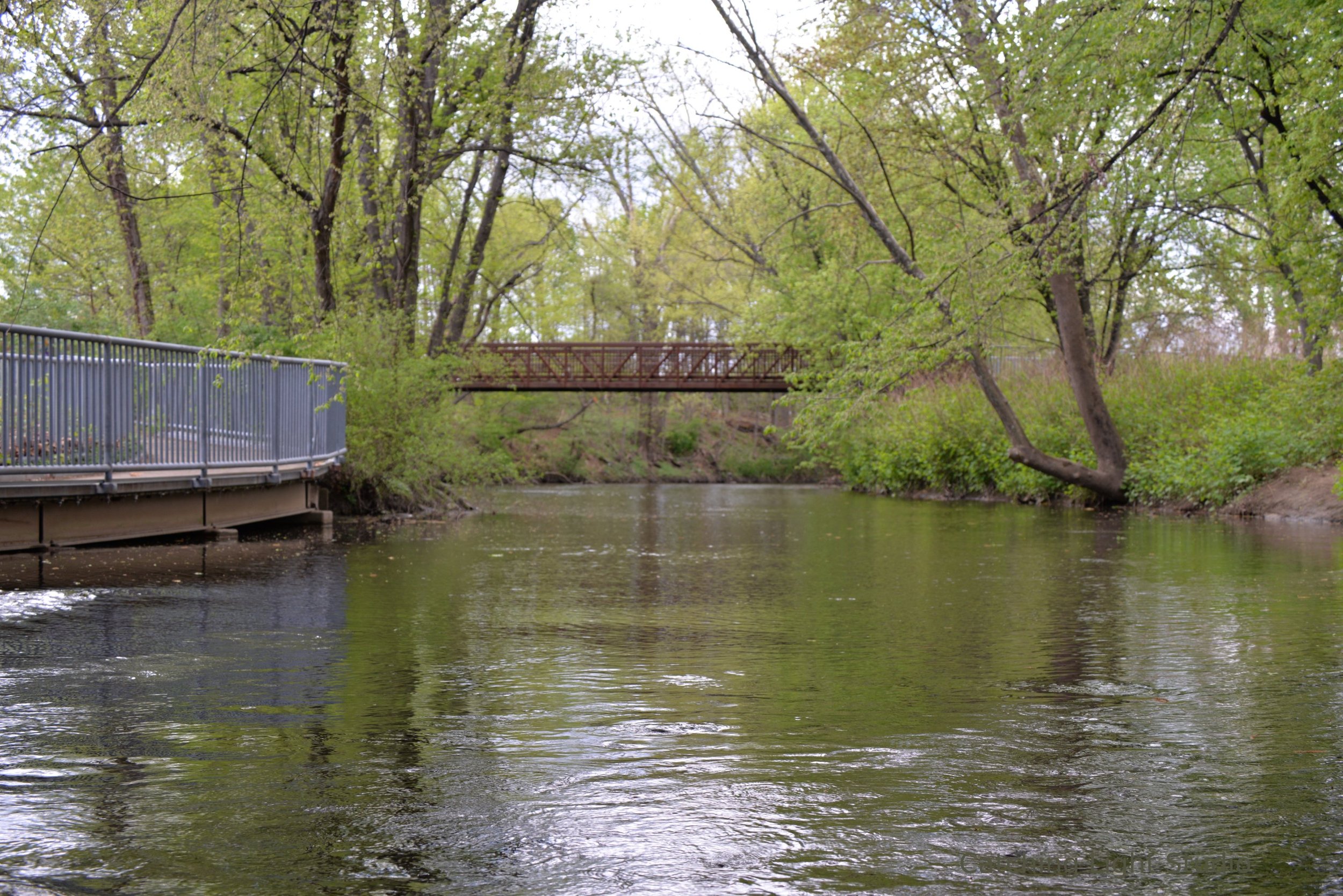 river-walkway-and-footbridge-in-spring-greenery