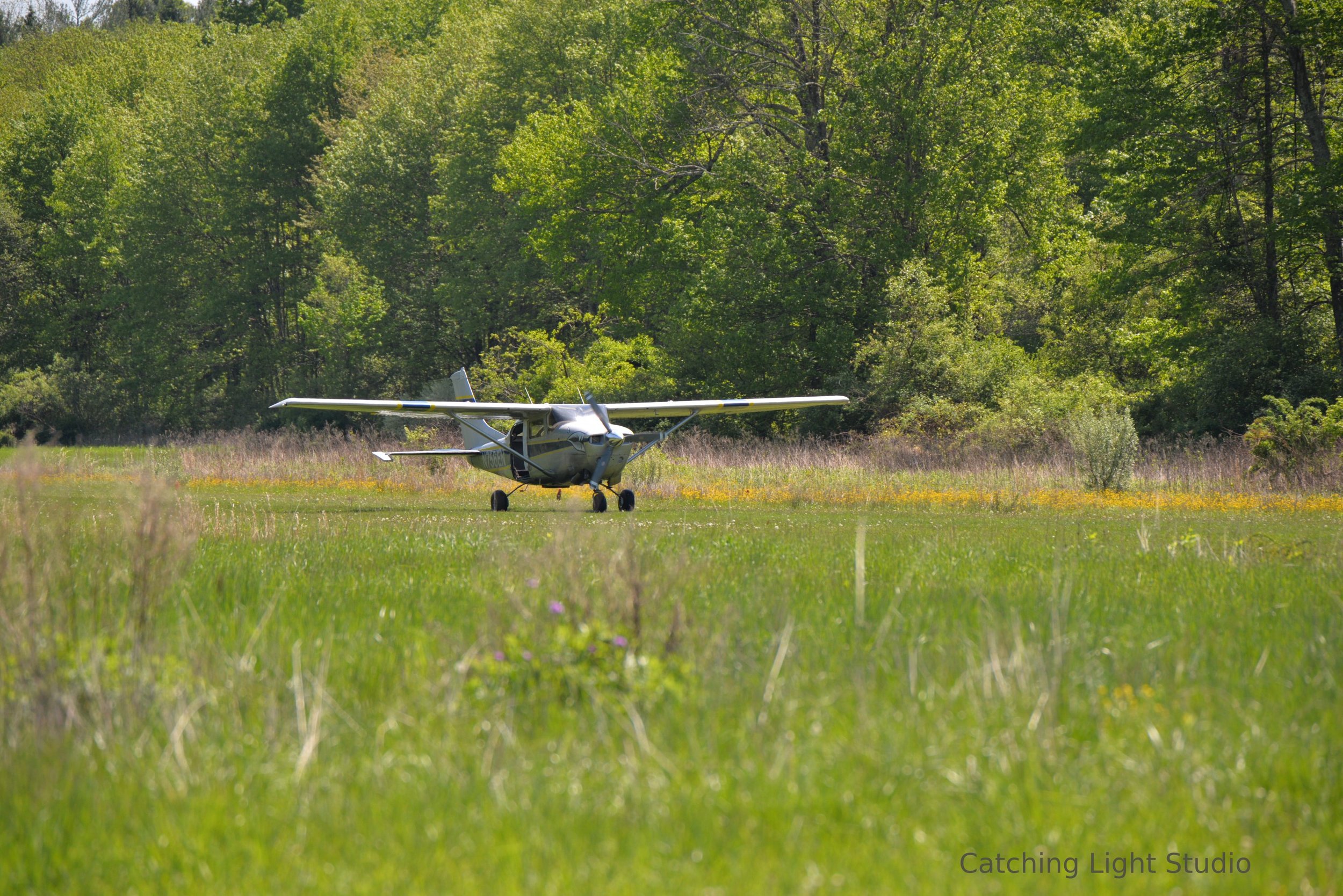 light-aircraft-rolling-on-grass-runway-surrounded-by-trees