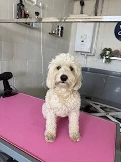 SULLY01.jpg