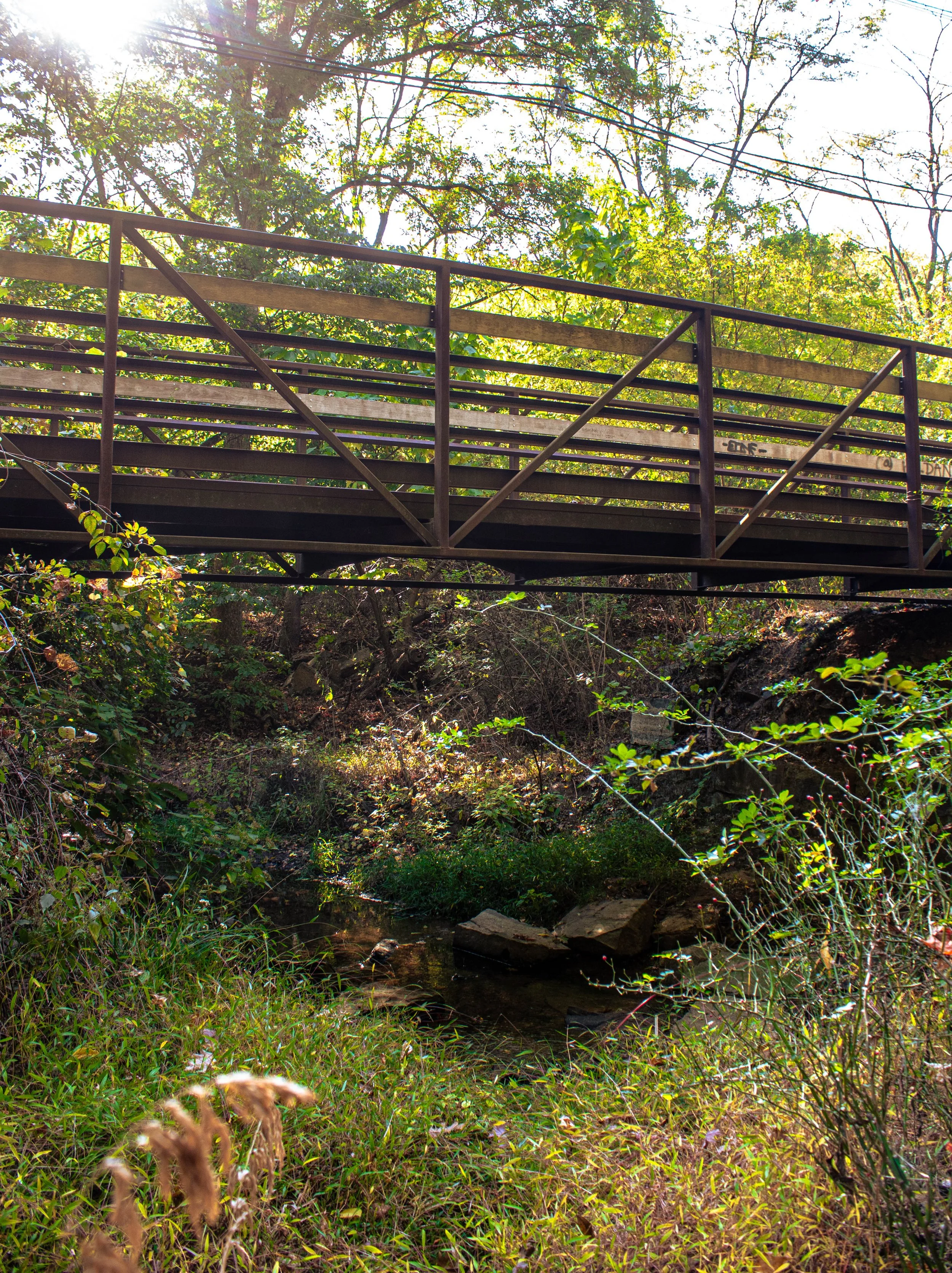 "Bridge" • 📸: Canon Rebel T6i • 🗓️: 10/12/2024