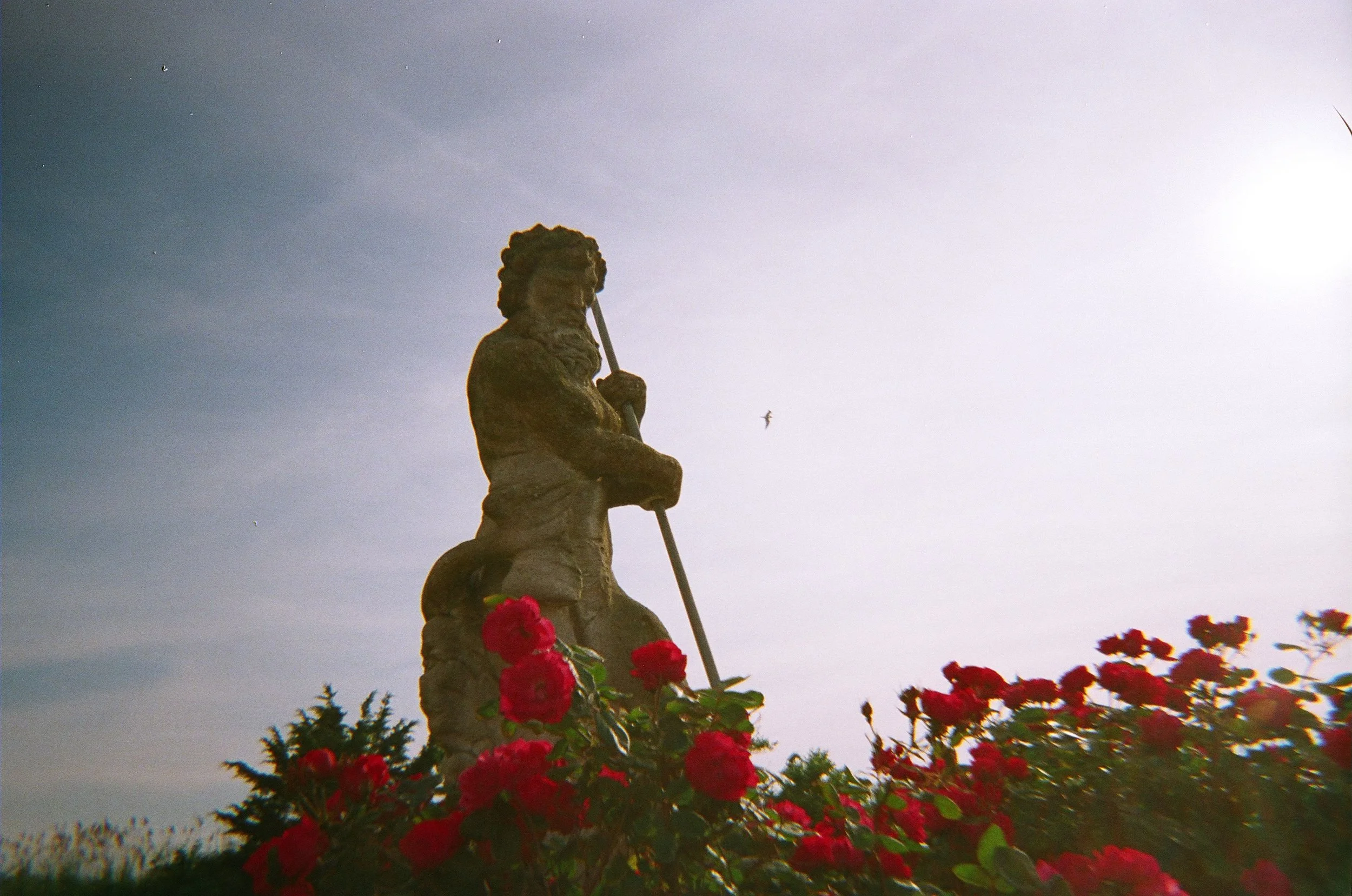 "Poseidon's Garden" • 📸: Peanuts Beagle Scouts Retrospekt FC-11 35mm Film Camera • 🎞️: Fujifilm 400 • 🗓️: 6/4/2024