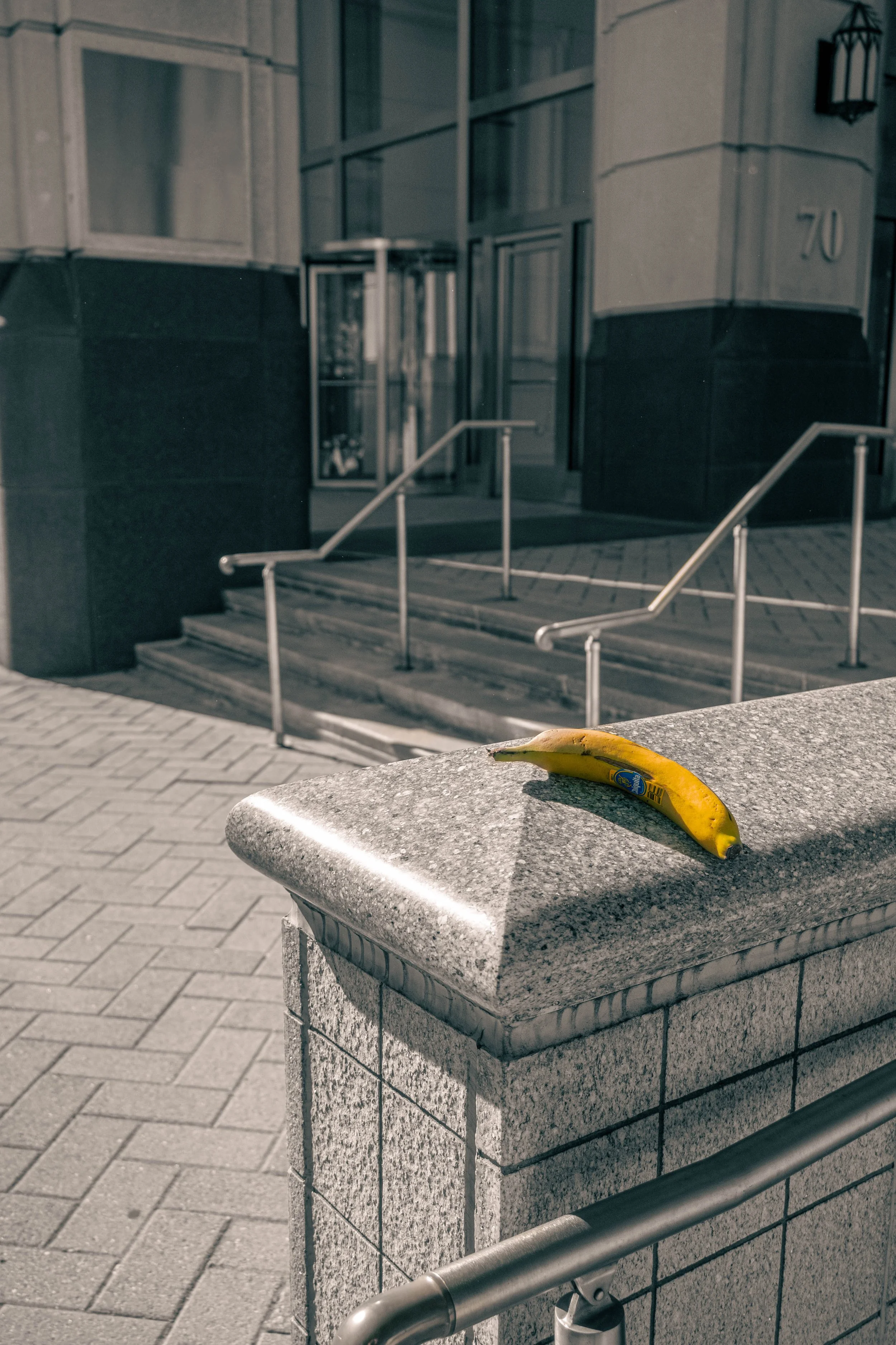 "Lunch Break Cut Short" ⢠šø: Nikon Z50II ⢠šļø: 5/10/2025