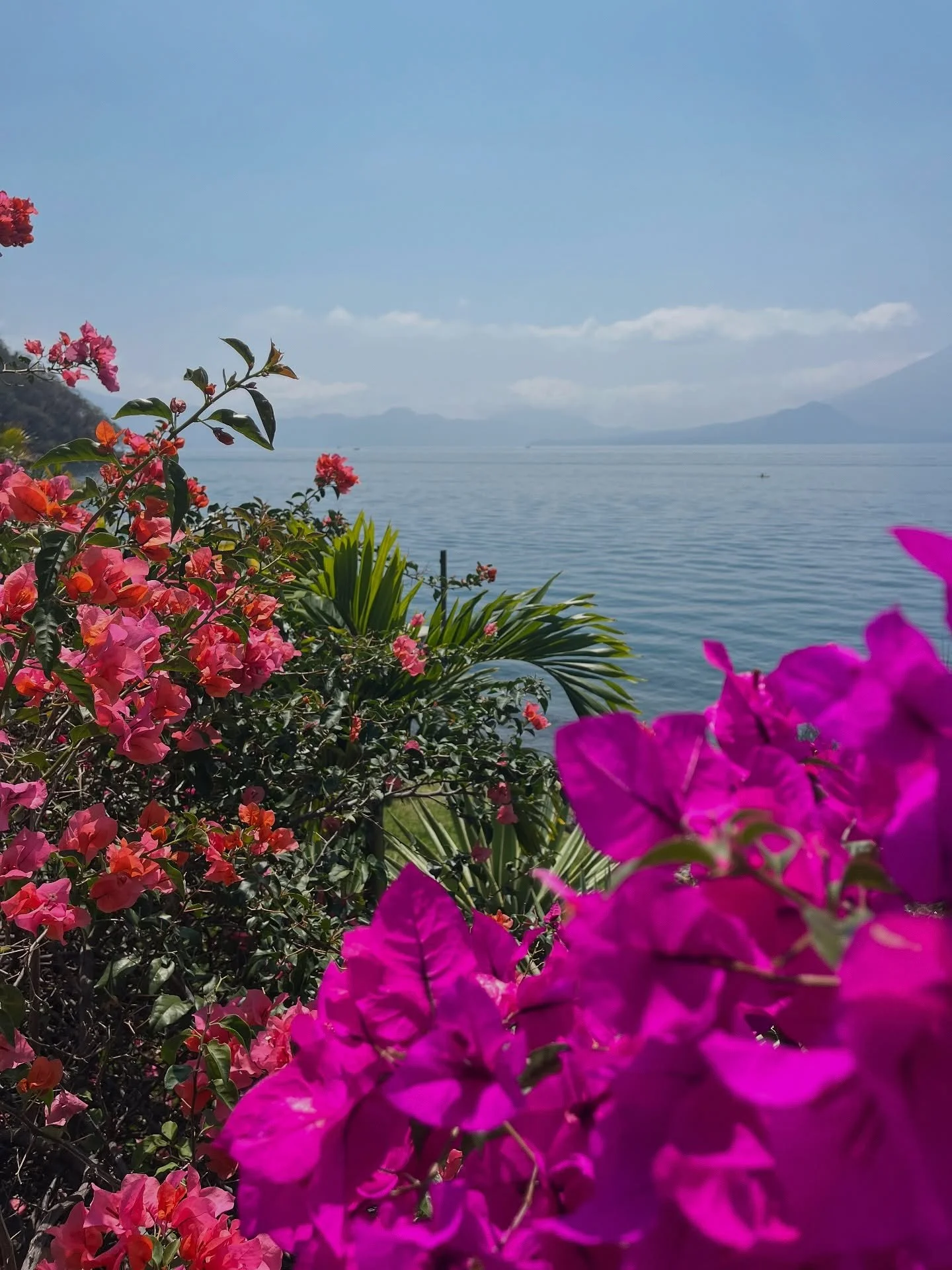 Looking back on sweet sweet memories from last year&rsquo;s Heart of Practice retreat at @villasumaya 🧡

And sharing a very important update 📣📣📣

There is just ✨one✨ space remaining to join us here in March 🌀

Feel the fresh air in the peaceful 