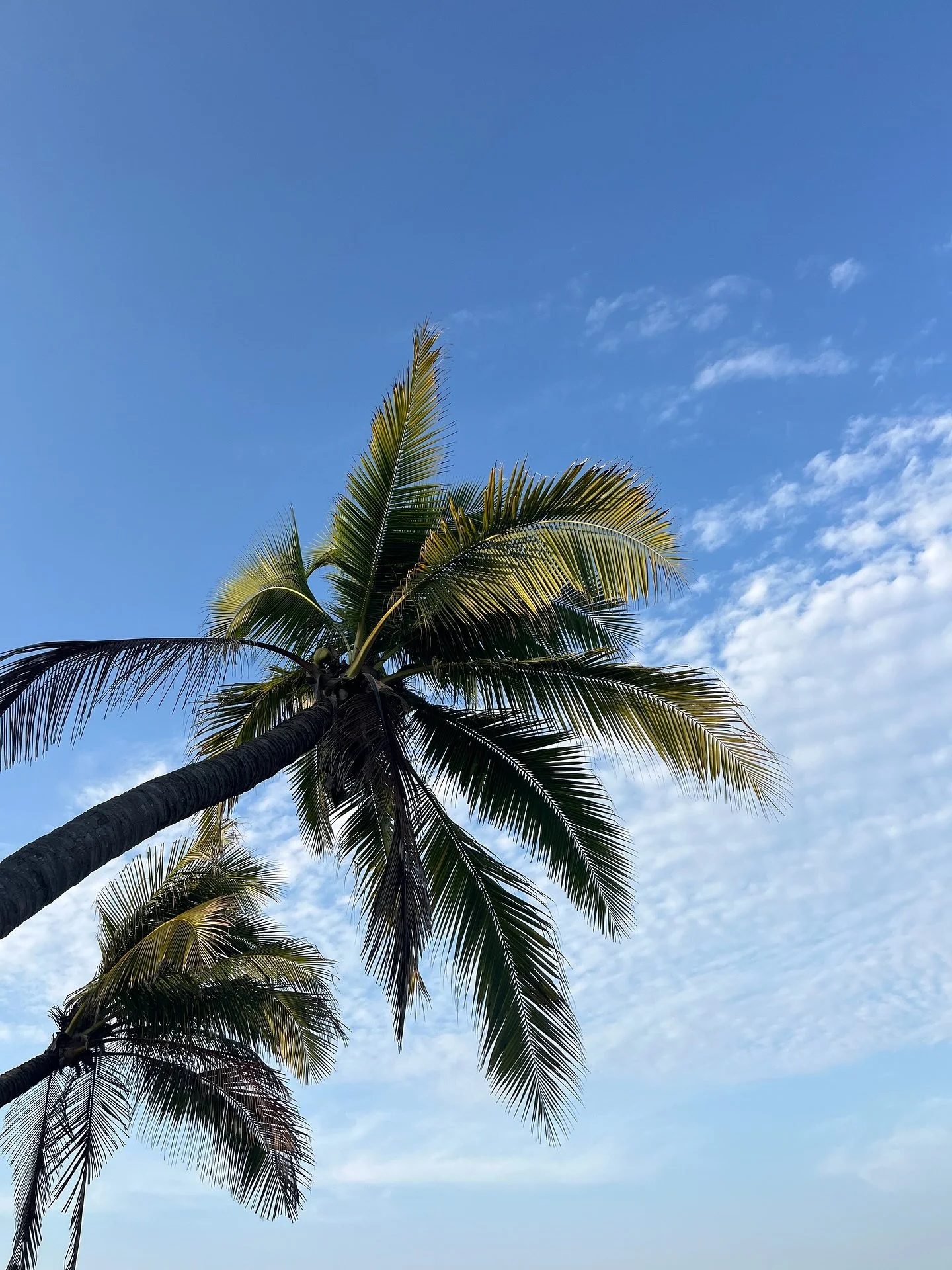 First moments here ft the broccoli shirt, first surf sessions, and all the sweet in betweens 🙂