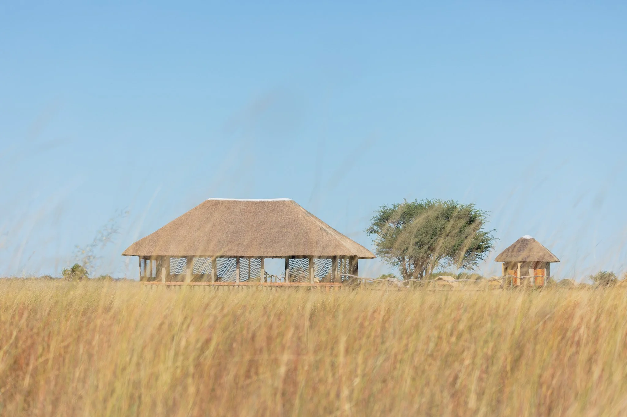 Copy of 2D3A8892.jpg