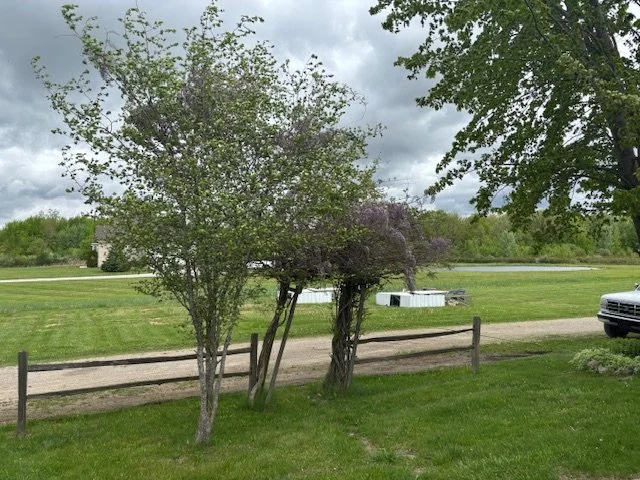 Late Winter/Early Spring 2026 Cluckery Events