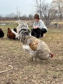 The Power of…er…Negative??? Thinking