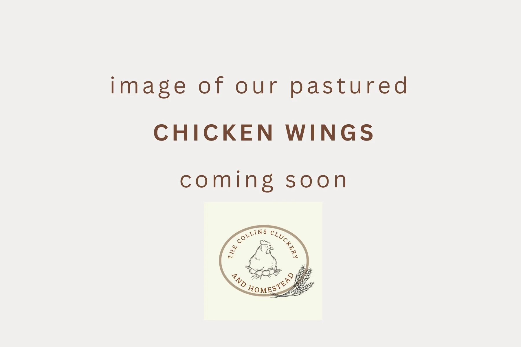 Pastured Chicken Wings (bone-in)