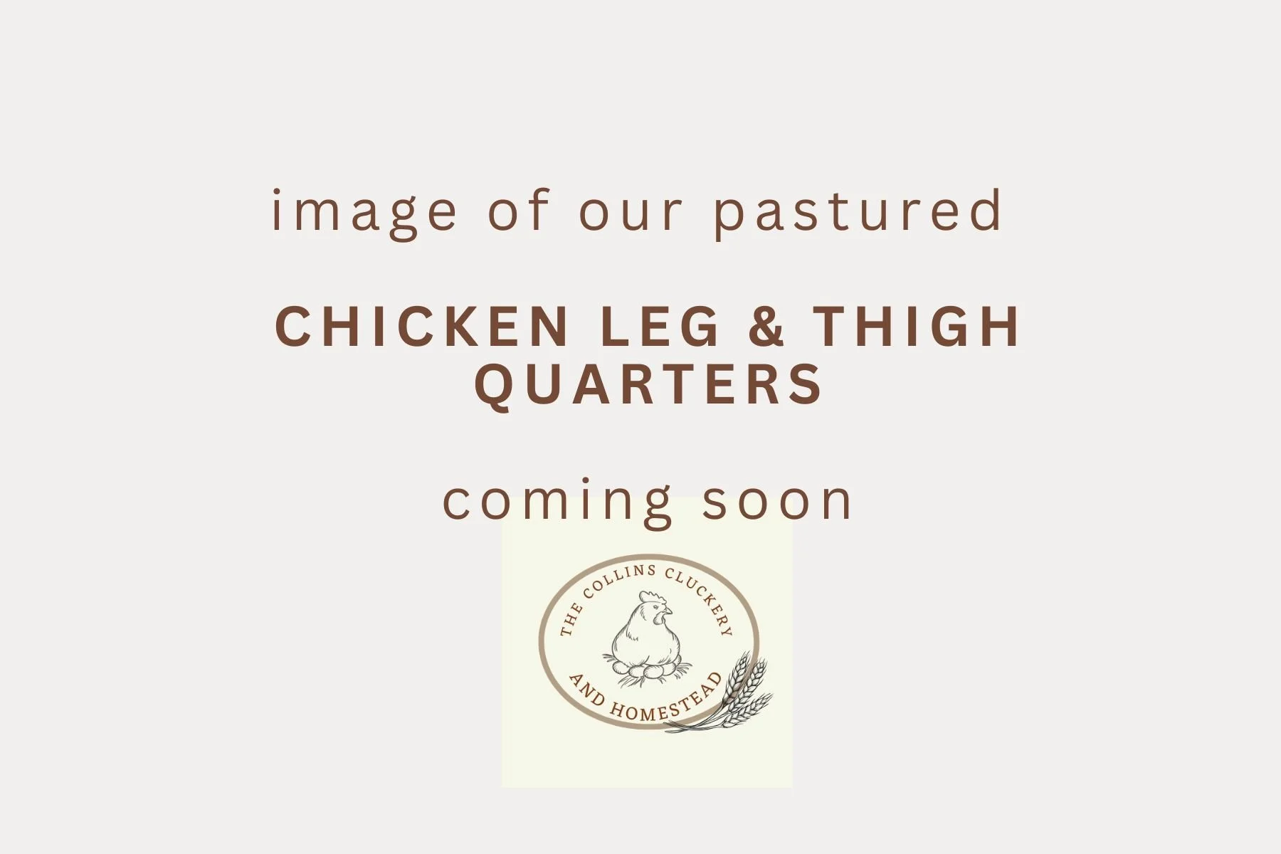 chicken leg and thigh image place holder.jpg
