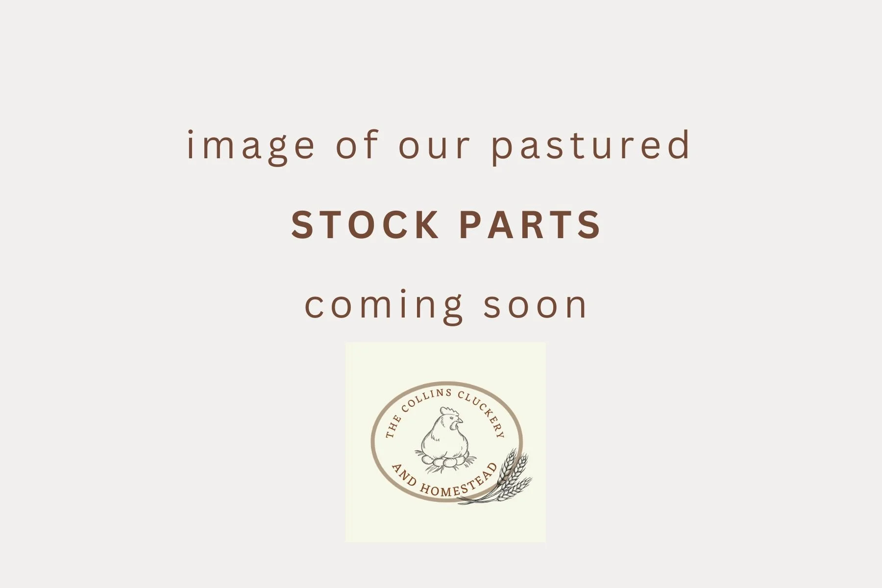 chicken stock parts place holder.jpg