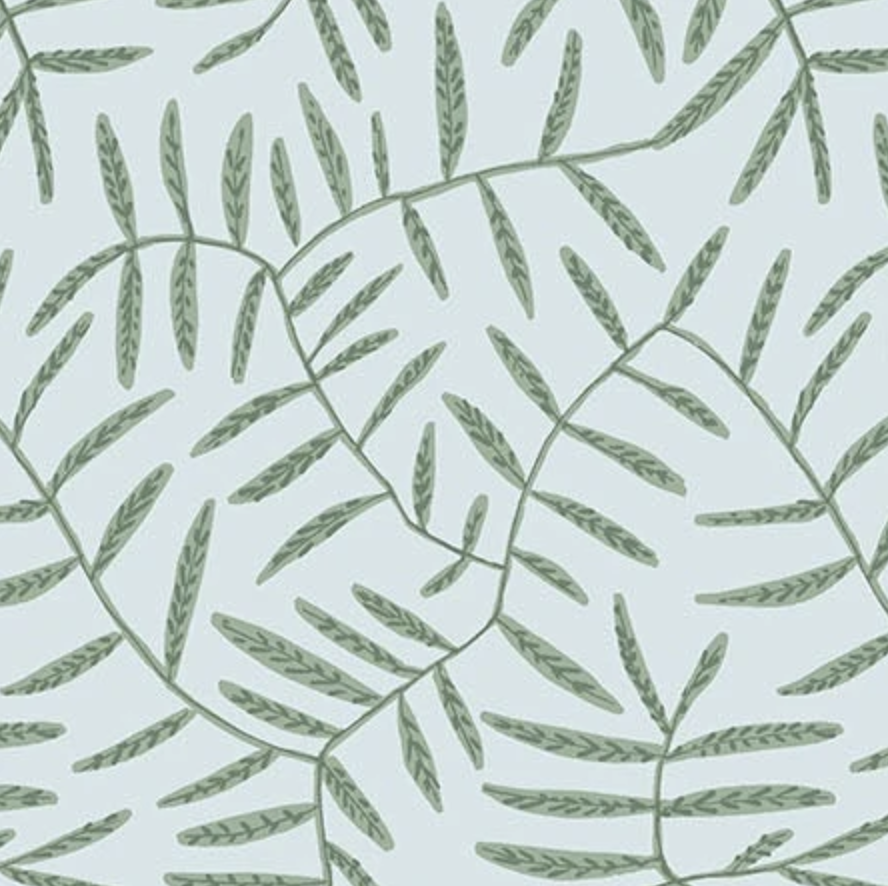 Fern-Spring Thyme