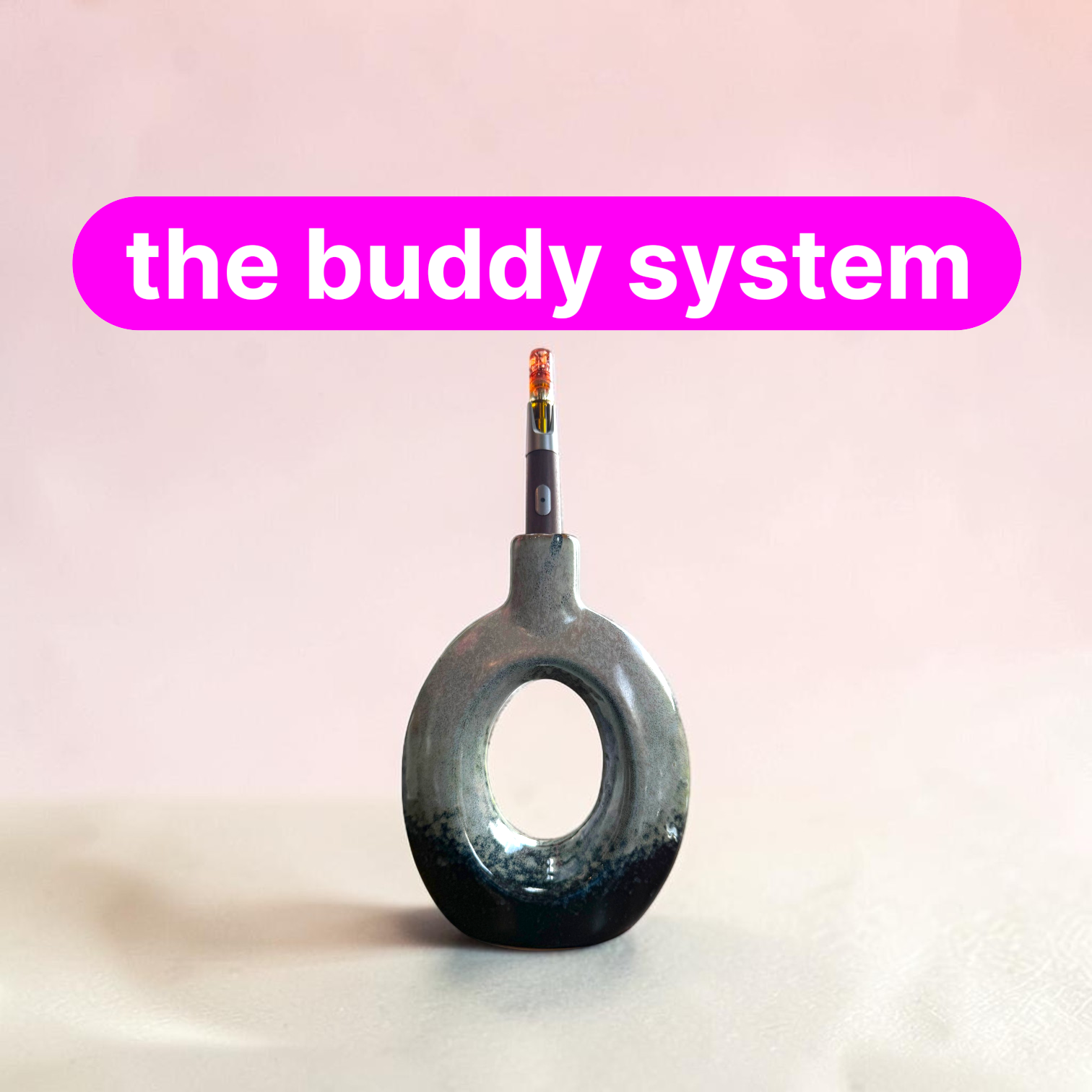 The Buddy System - Torus