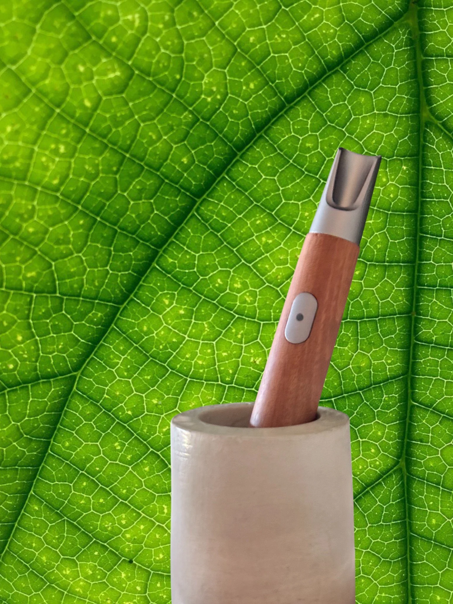 A close-up of a green leaf with a rolling pin and a watermelon slicer inserted into the top of the rolling pin.