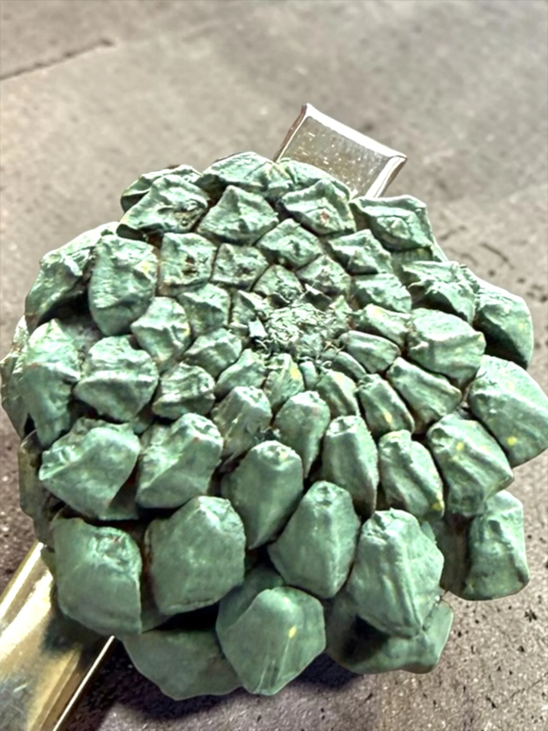 Small Succulent Hair Clip (3).JPG