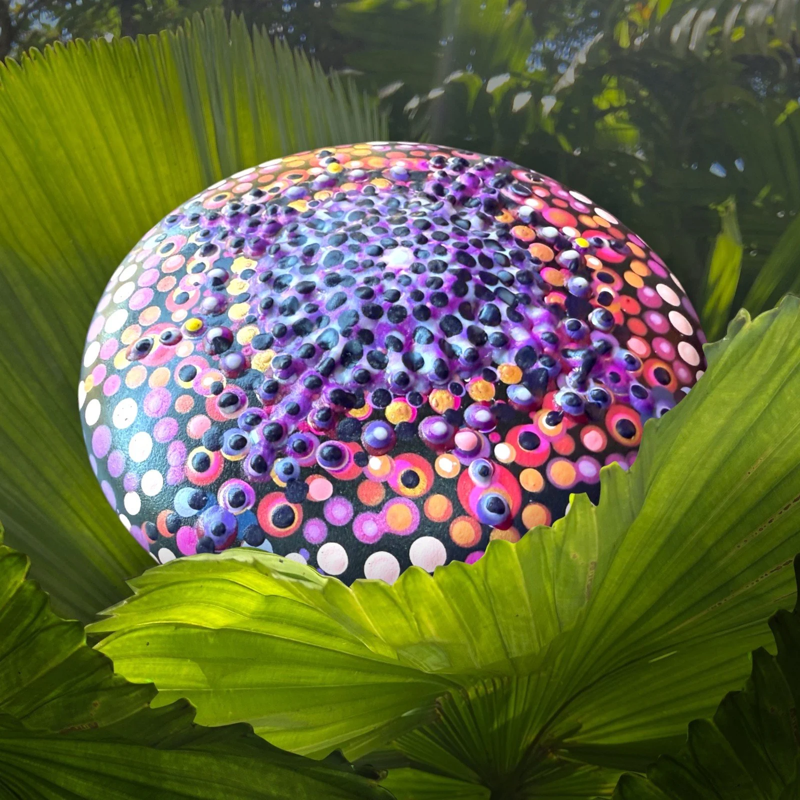 glow dish gallery shot (1).jpg