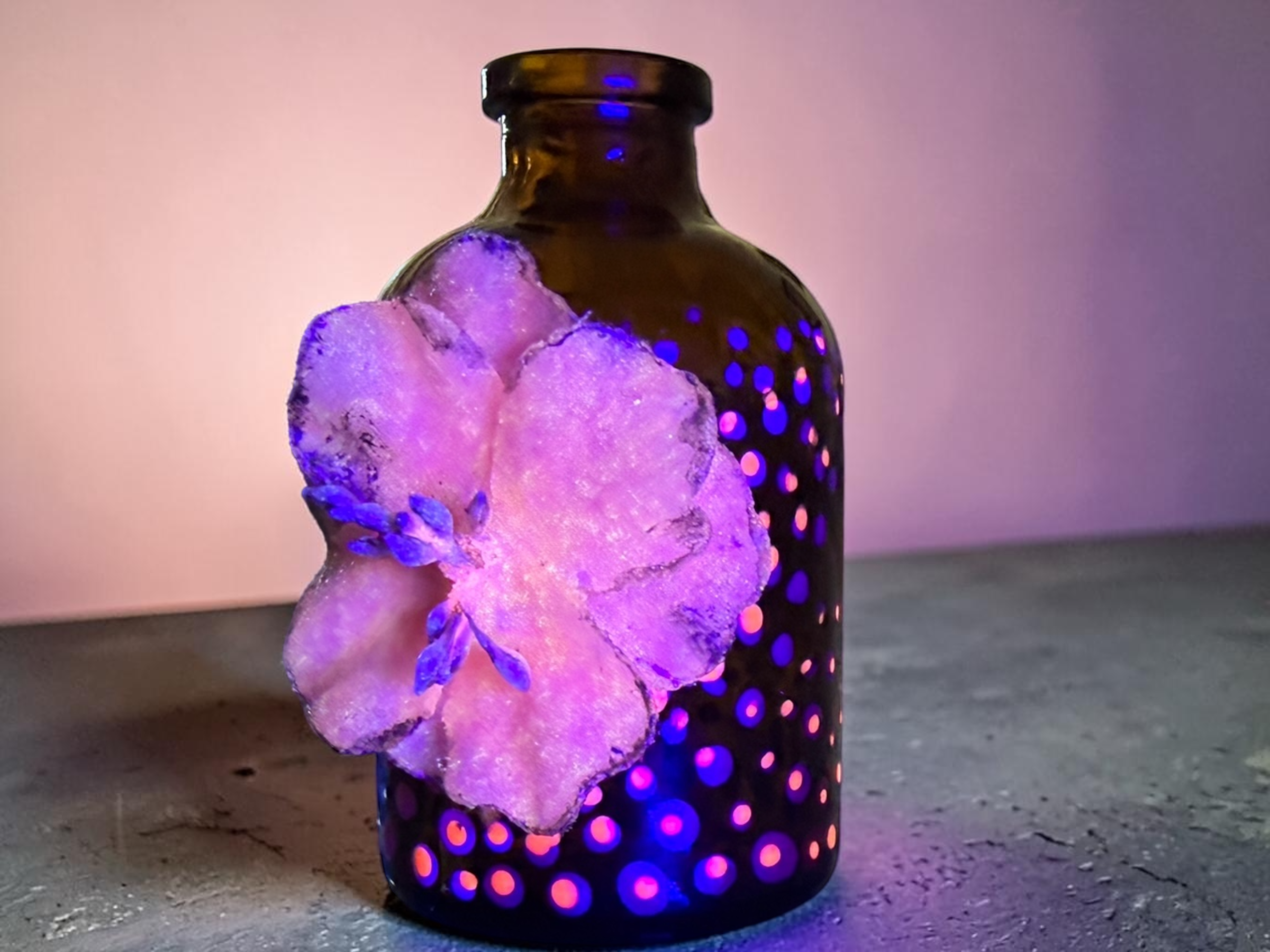 Blacklight Blossom Bud Bottle (17).PNG
